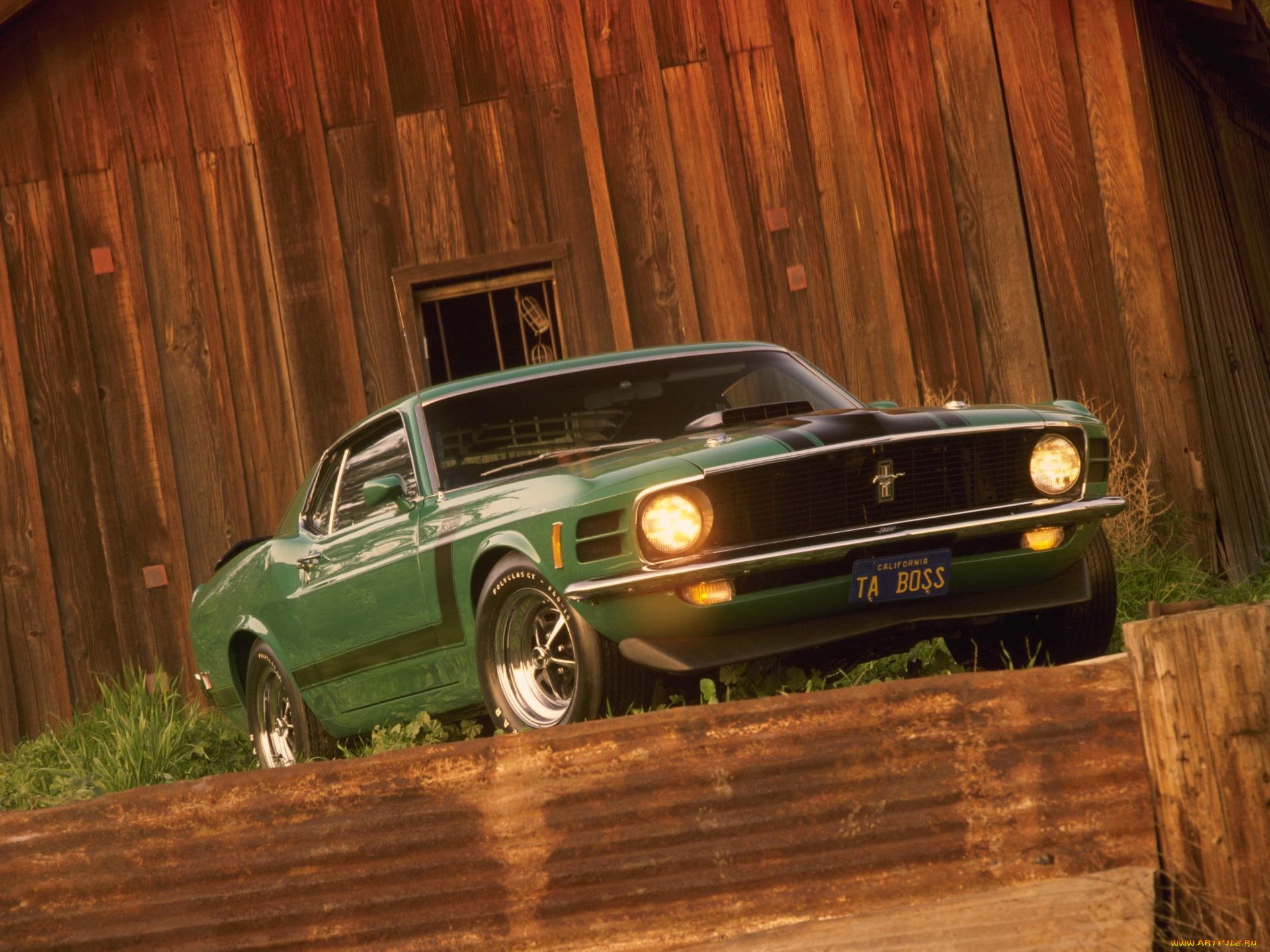 автомобили, mustang