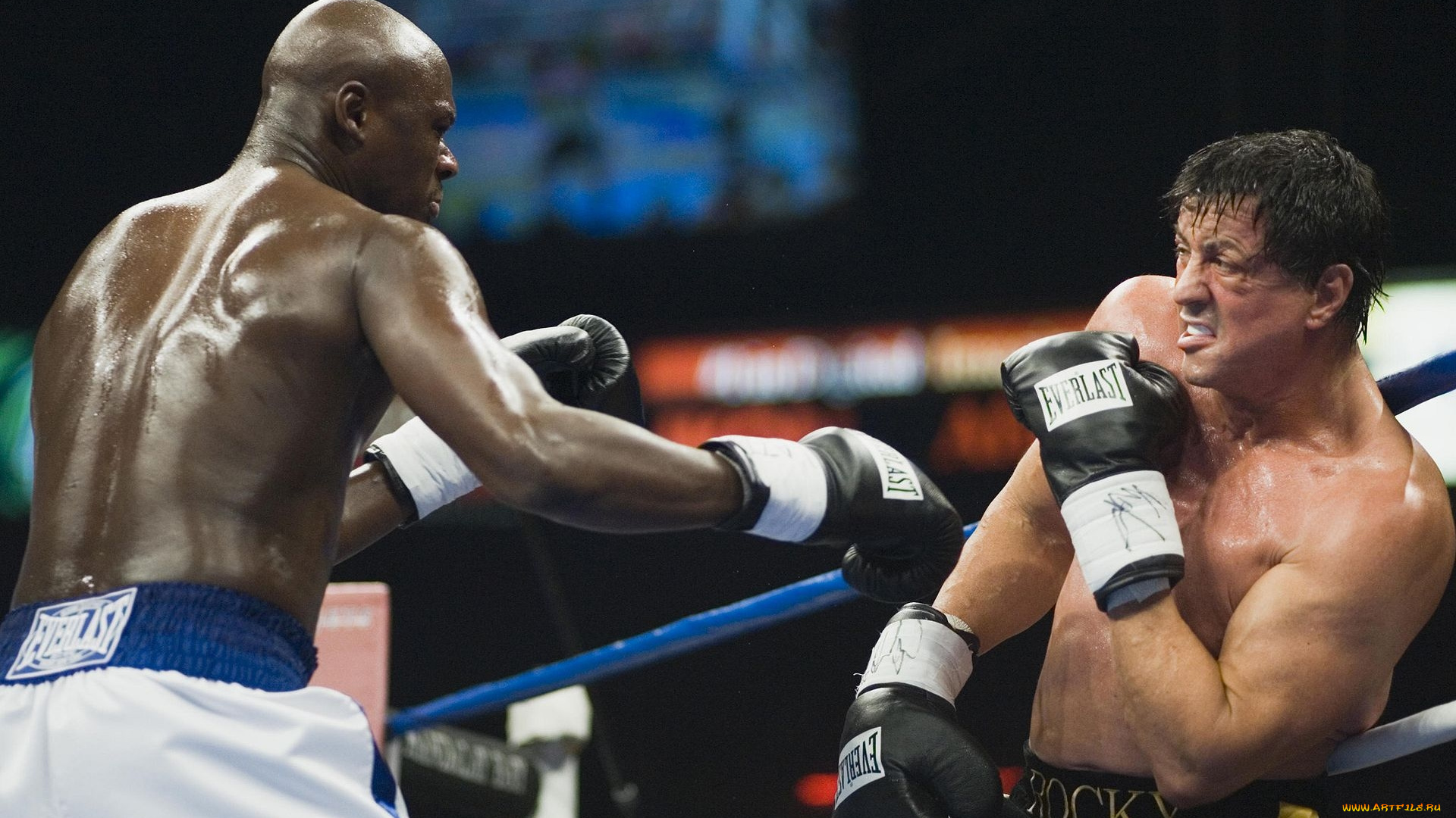 кино, фильмы, rocky