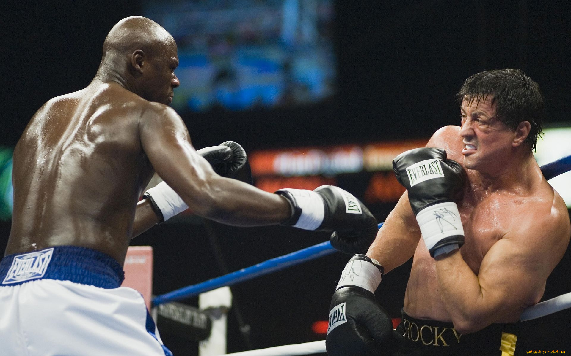 кино, фильмы, rocky