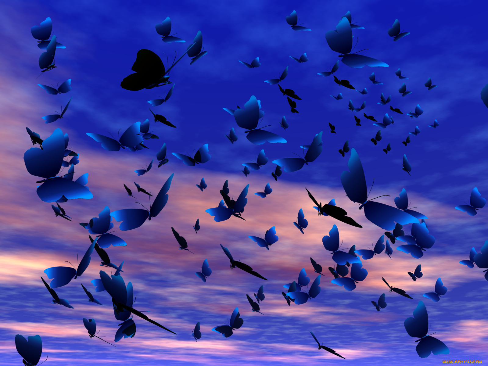 3д, графика, animals, животные, небо, облака, бабочки