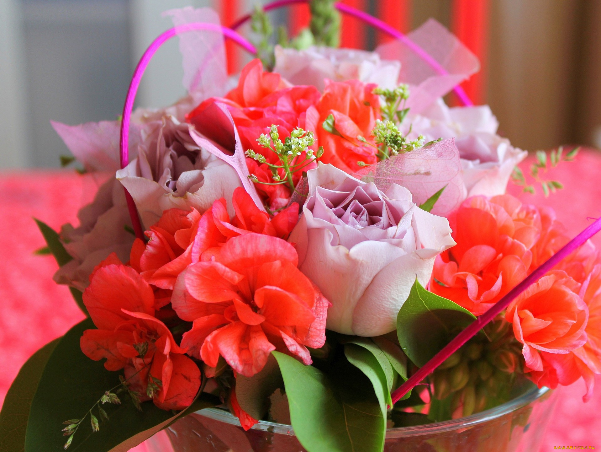 цветы, букеты, композиции, розы, герань