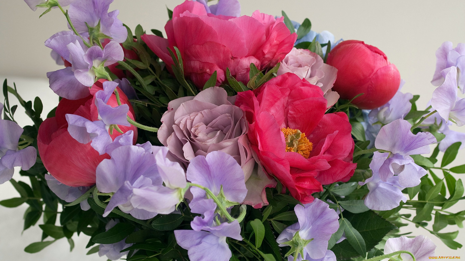 цветы, букеты, композиции, душистый, горошек, розы, пионы