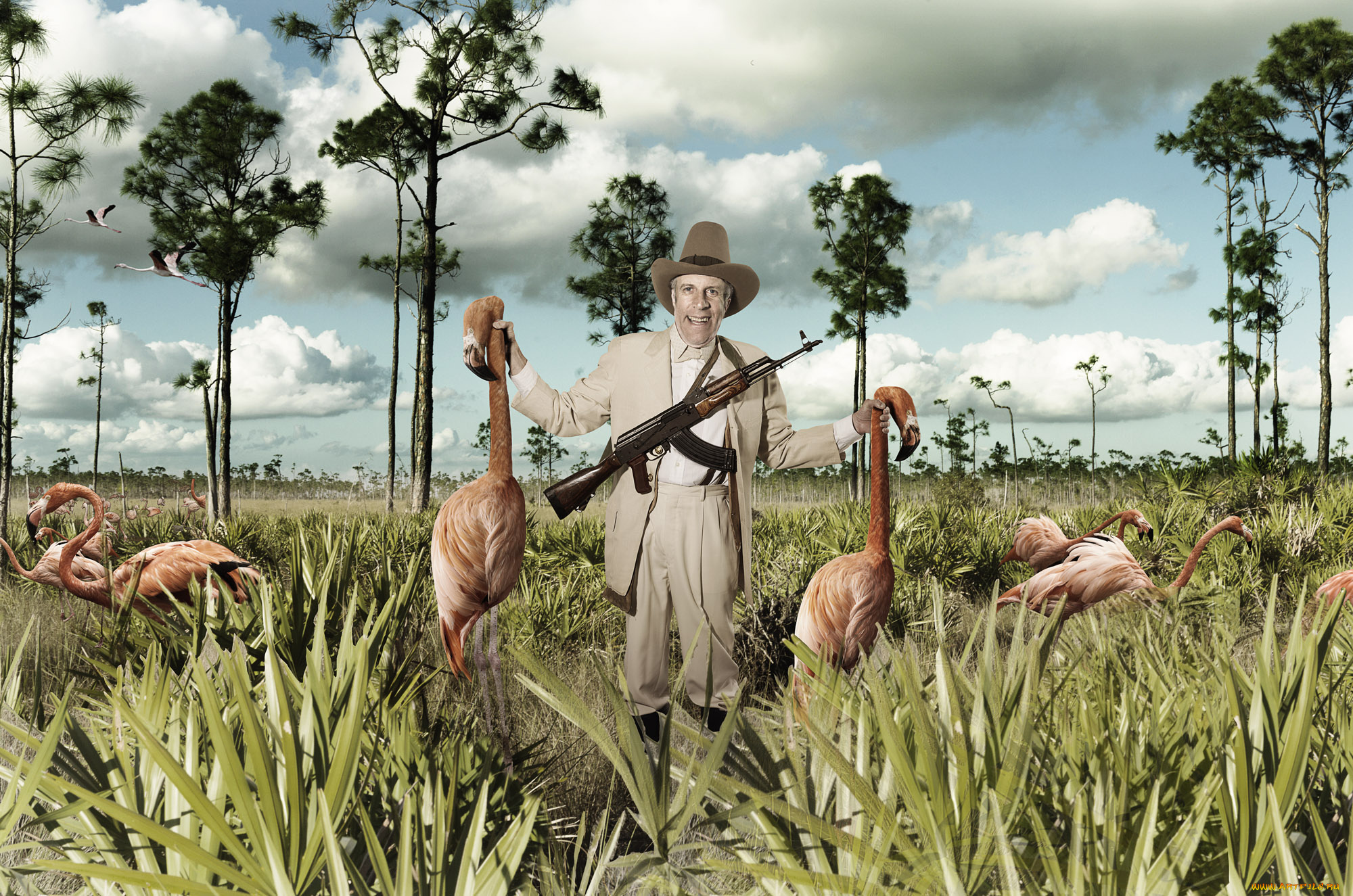автор, mark, holthusen, мужчины, unsort, охотник, фламинго