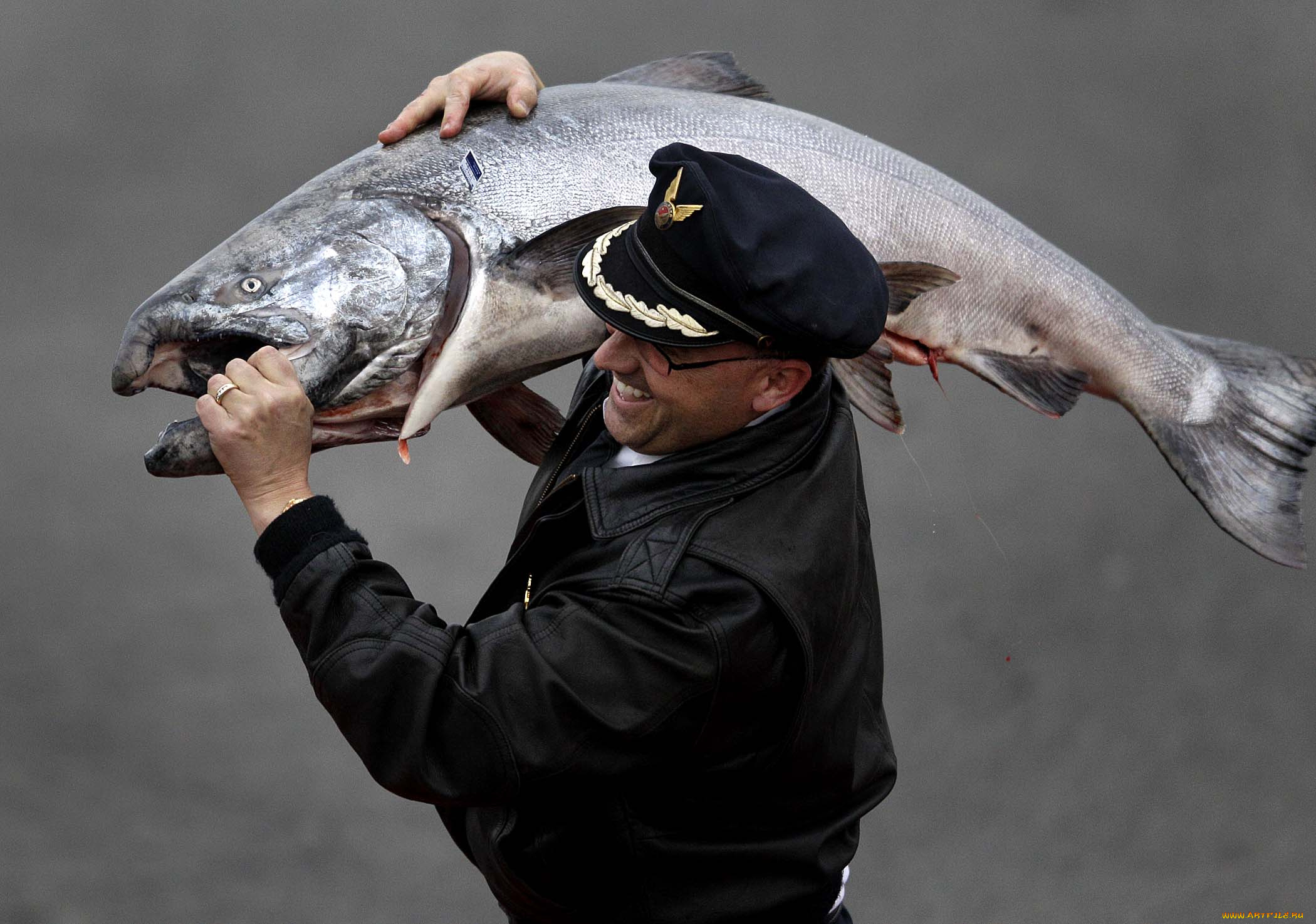 мужчины, unsort, лосось, рыба, улов