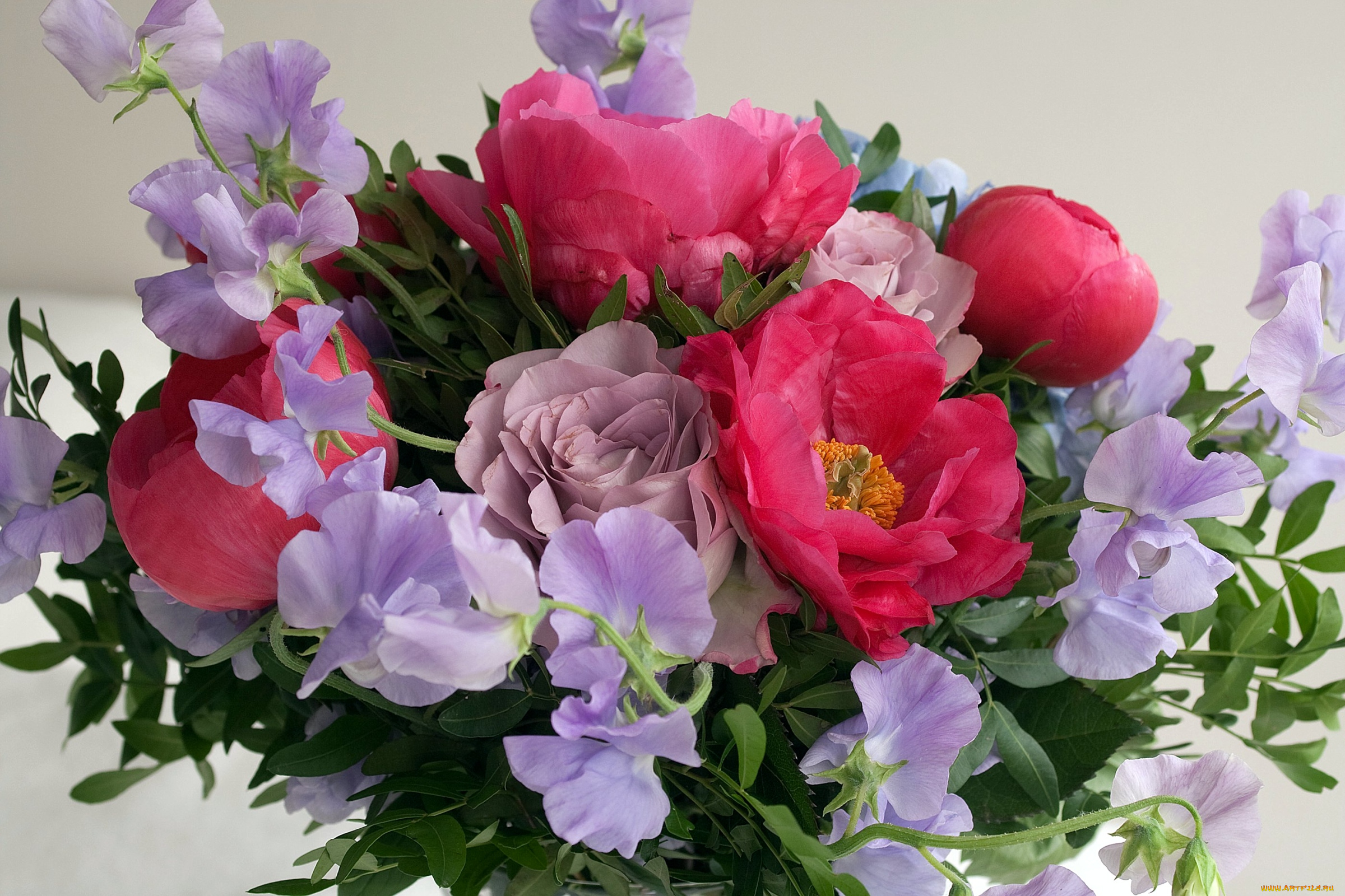 цветы, букеты, композиции, душистый, горошек, розы, пионы