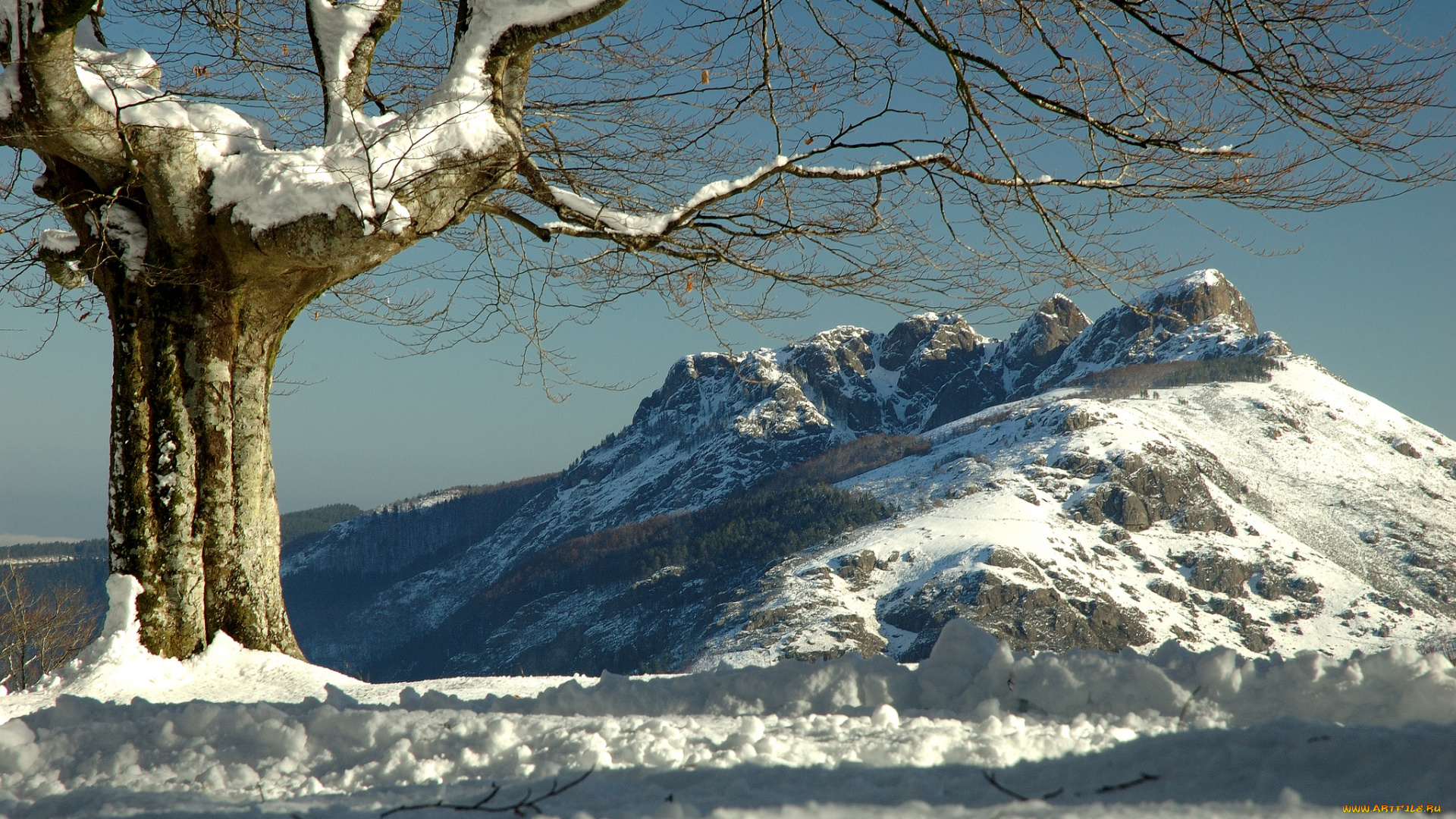 aiako, harria, basque, country, spain, природа, деревья, снег, дерево, испания, зима
