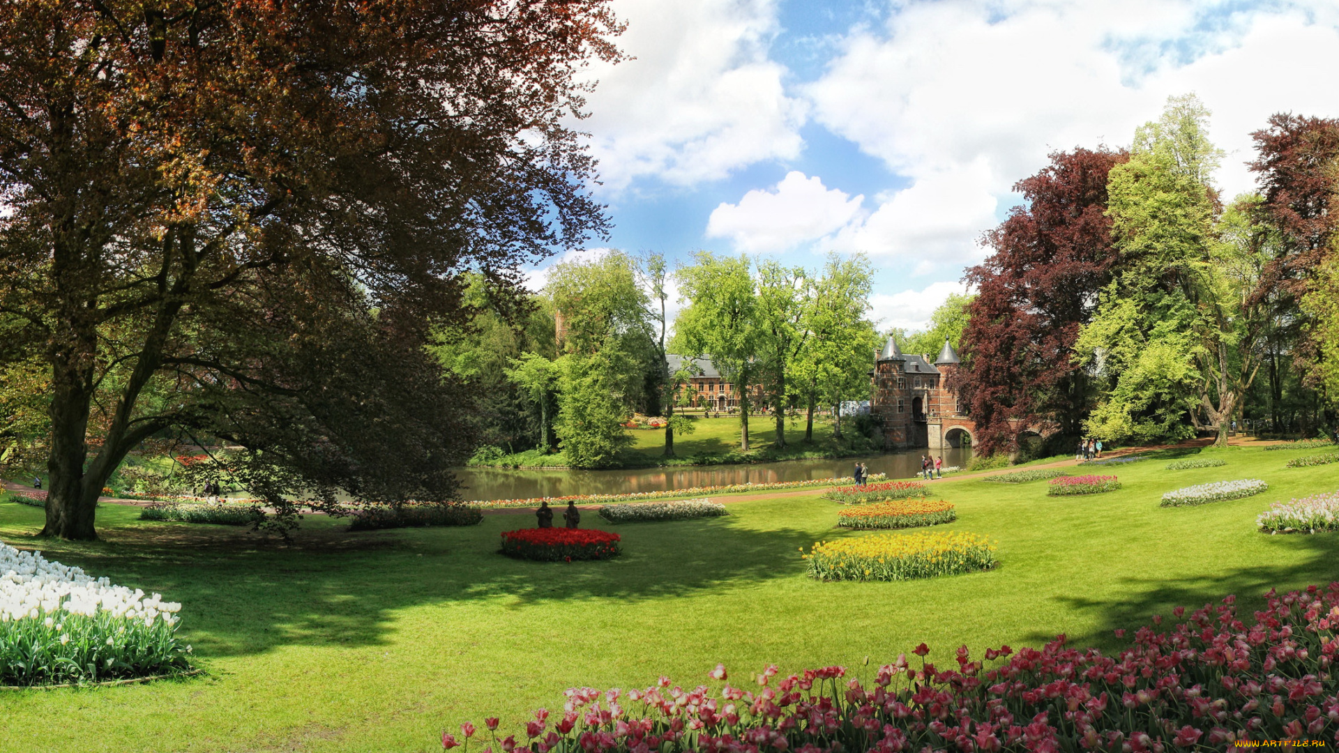 бельгия, дилбек, природа, парк, клумбы, цветы, поляна