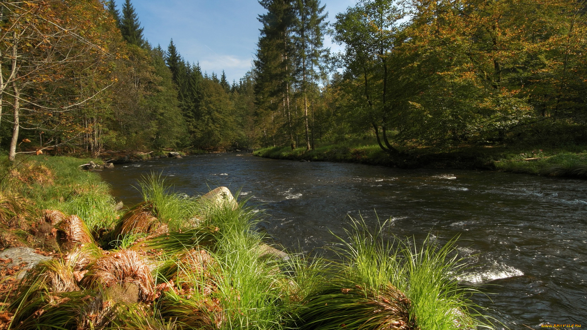 германия, бавария, природа, реки, озера, река, деревья