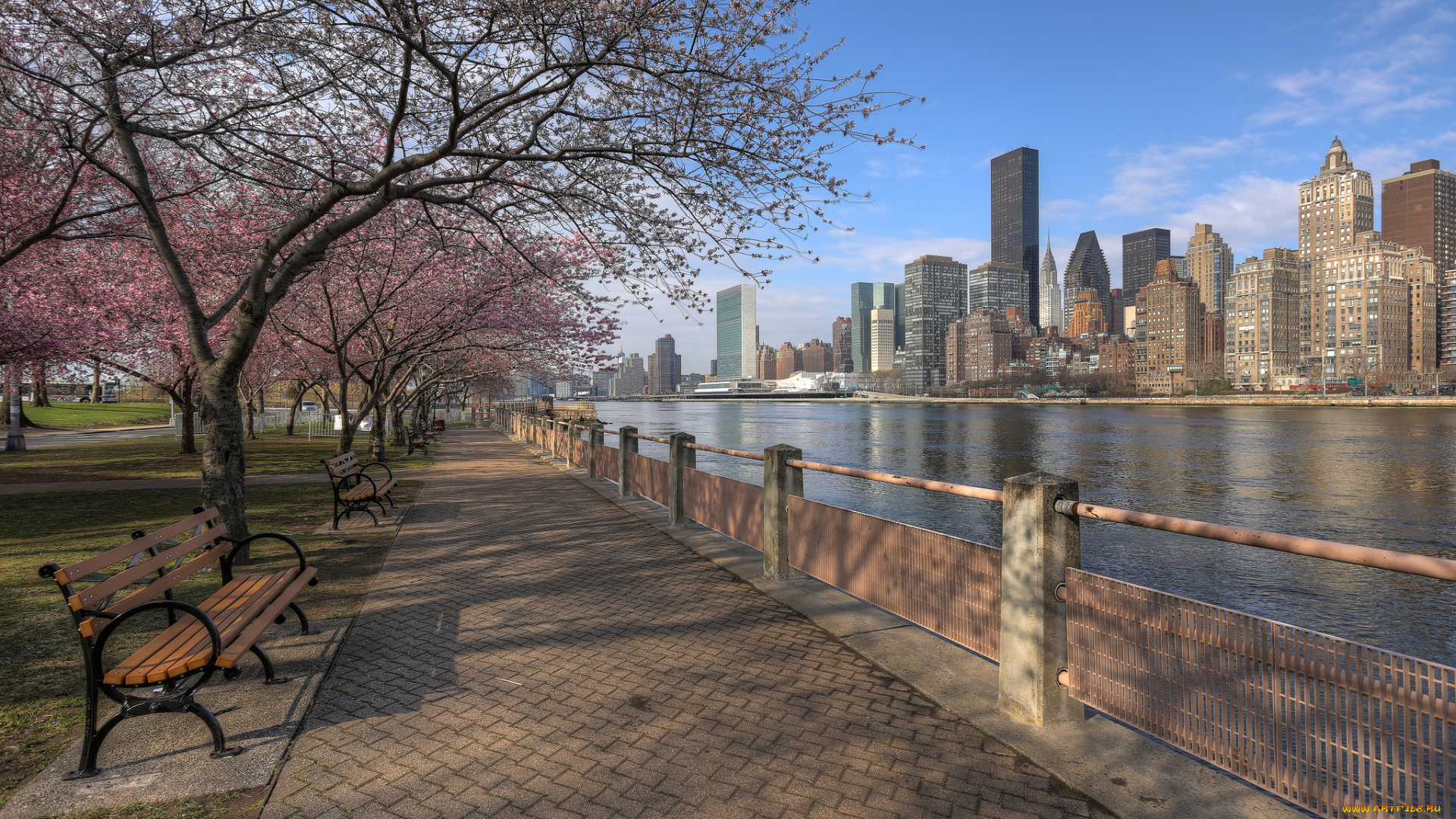 города, нью, йорк, сша, набережная, сакура, река, небоскребы