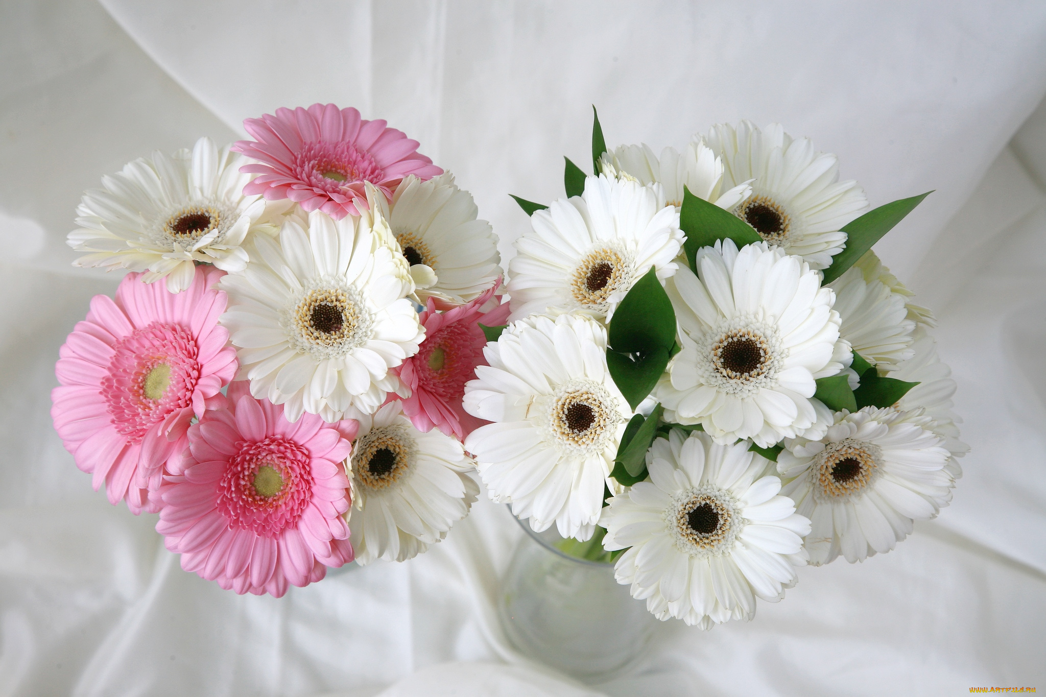 цветы, герберы, букеты, свадебный