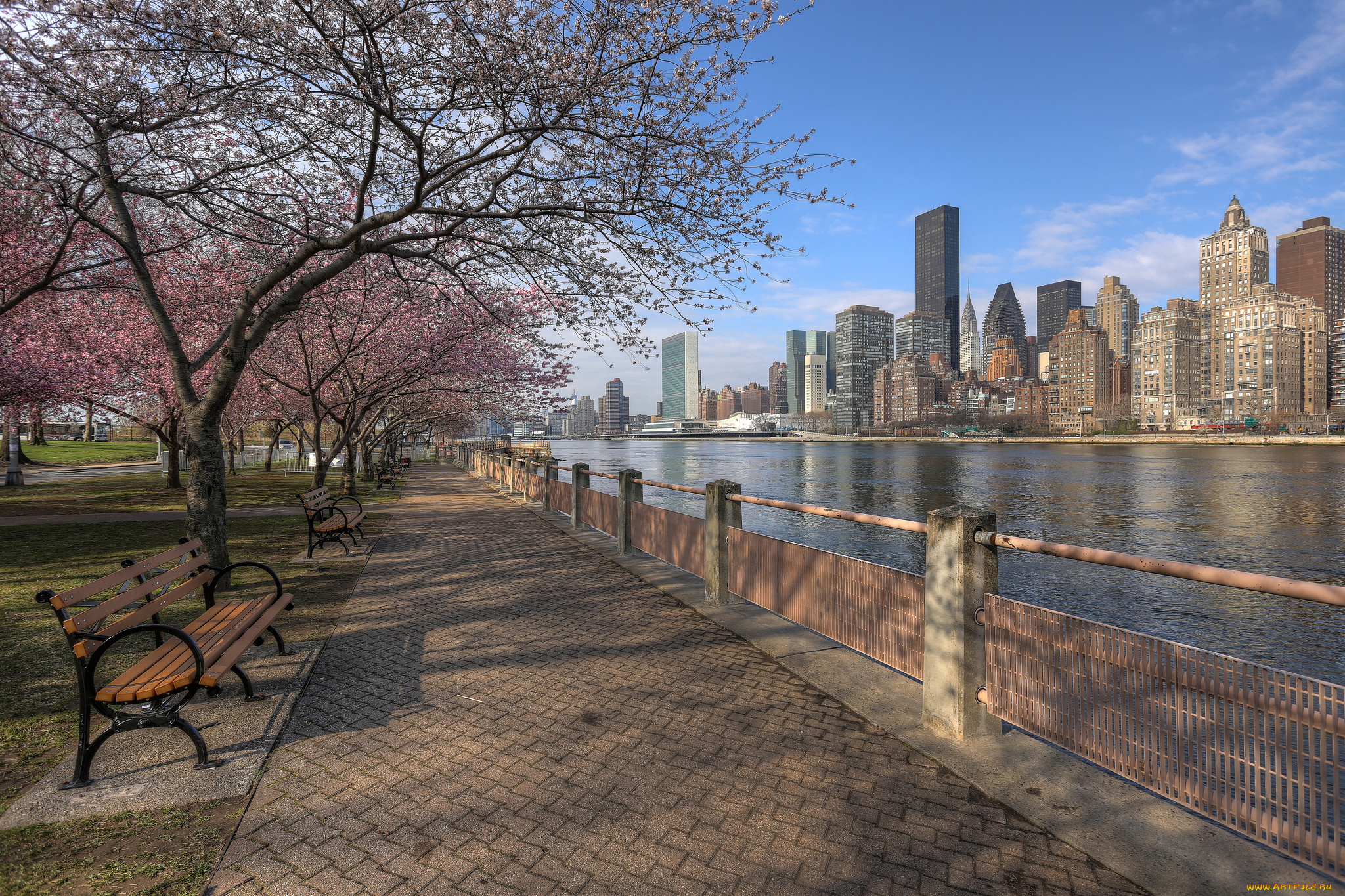 города, нью, йорк, сша, набережная, сакура, река, небоскребы