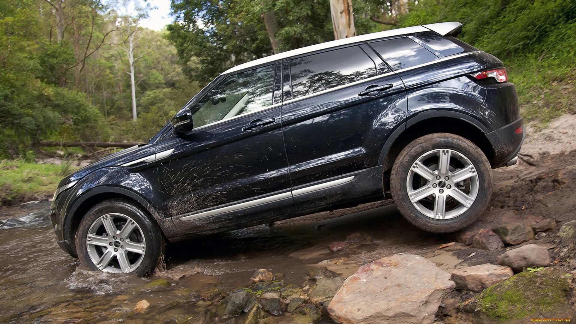 2011, land, rover, range, rover, evoque, prestige, автомобили, range, rover, land, rover, range, evoque, prestige, черный