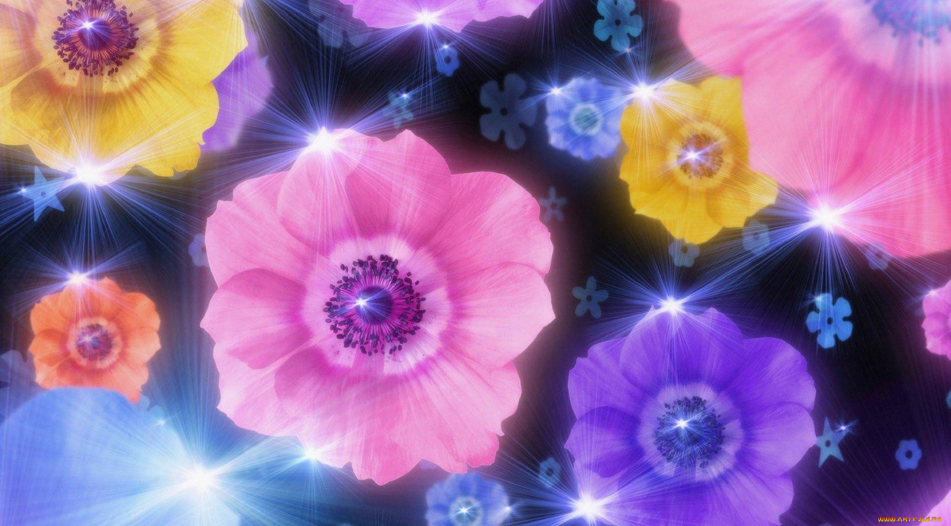 блеск, разное, компьютерный, дизайн, гламурный, цветы, текстуры