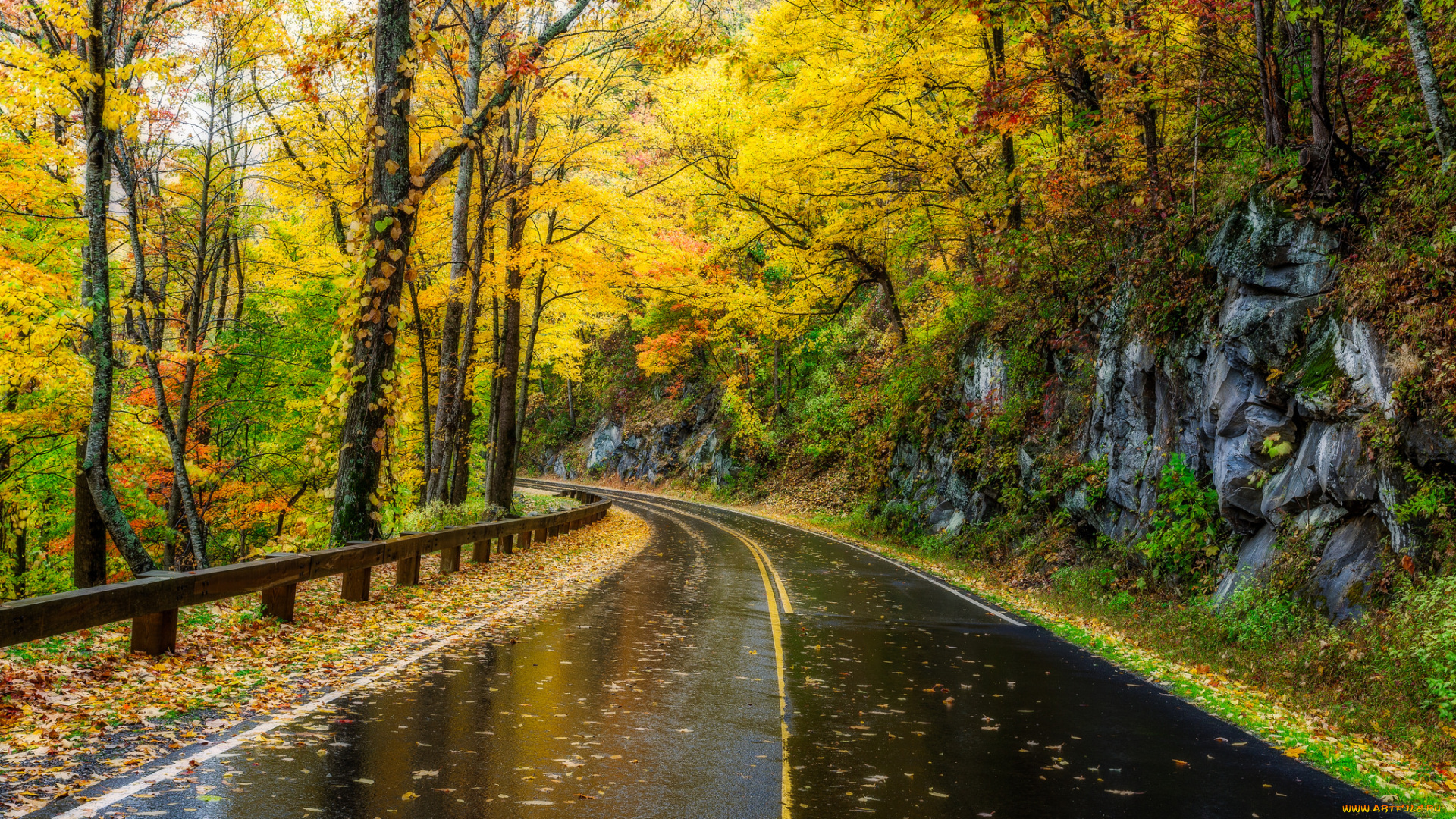 природа, дороги, дорога, лес, осень