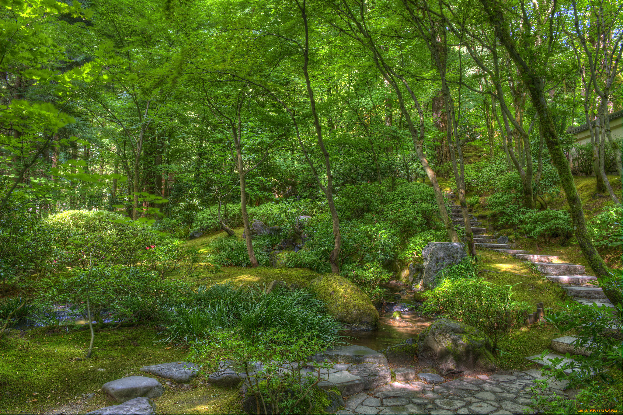 природа, парк, растительность, пруд