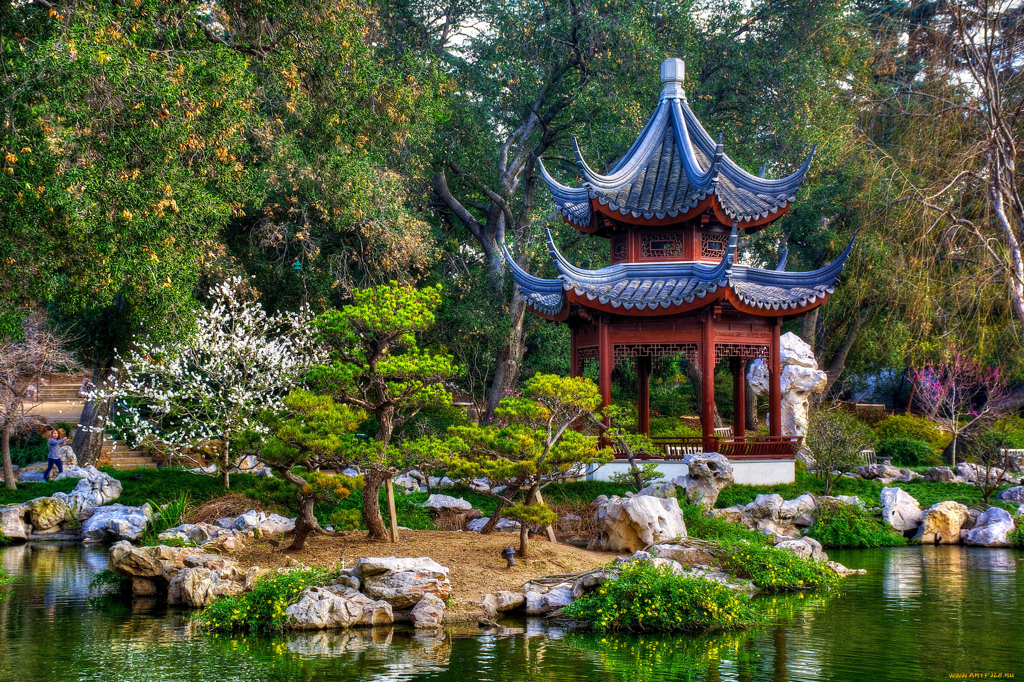 природа, парк, растительность, пруд