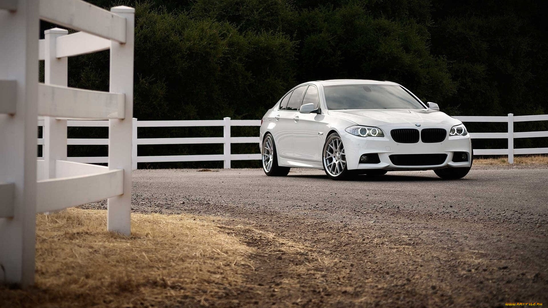 автомобили, bmw, бмв, белый, дорога, изгородь