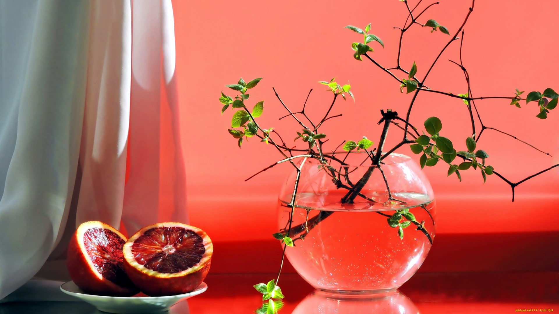 еда, цитрусы, грейпфруты