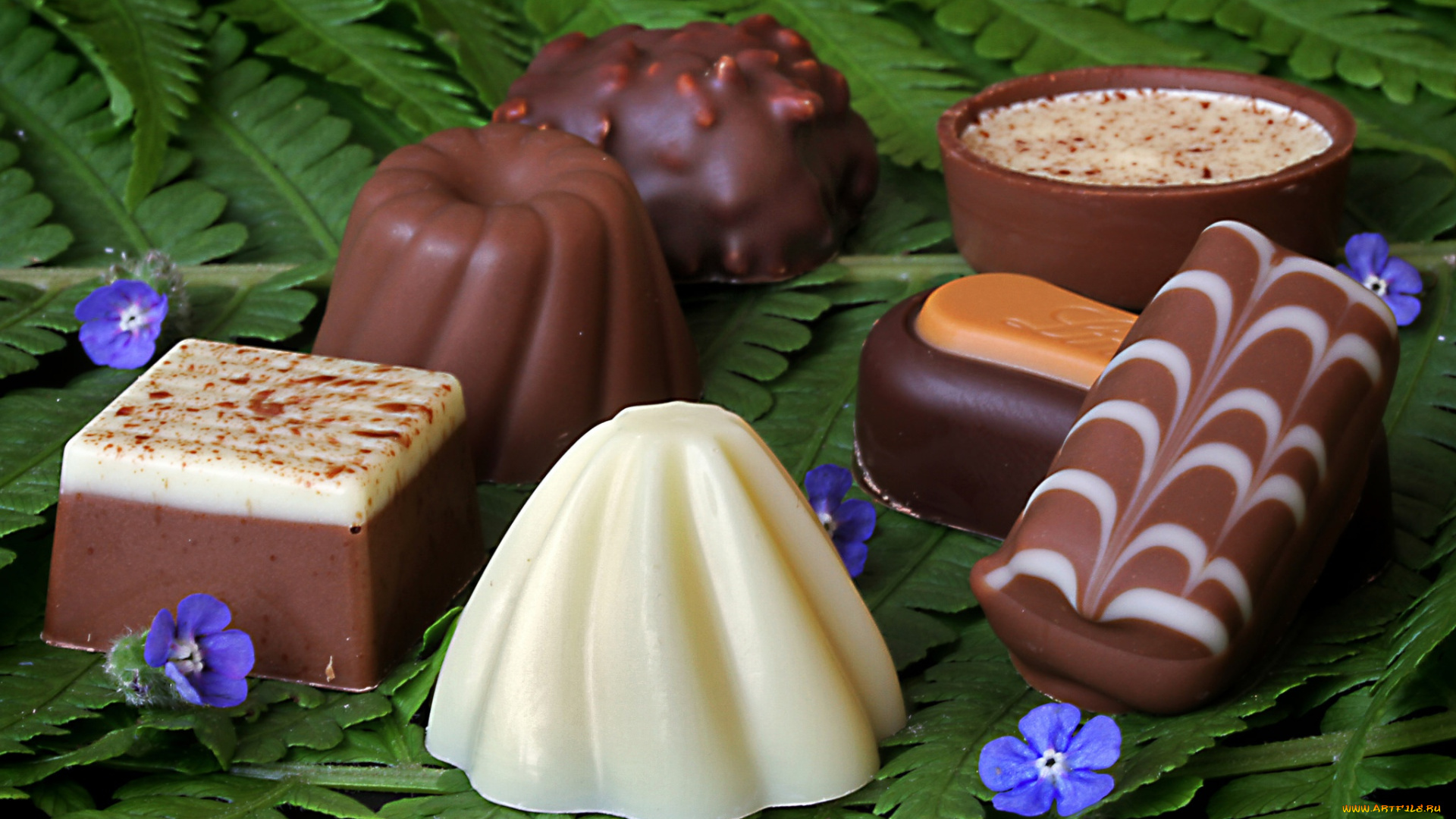 еда, конфеты, , шоколад, , сладости, шоколад, цветы, лист