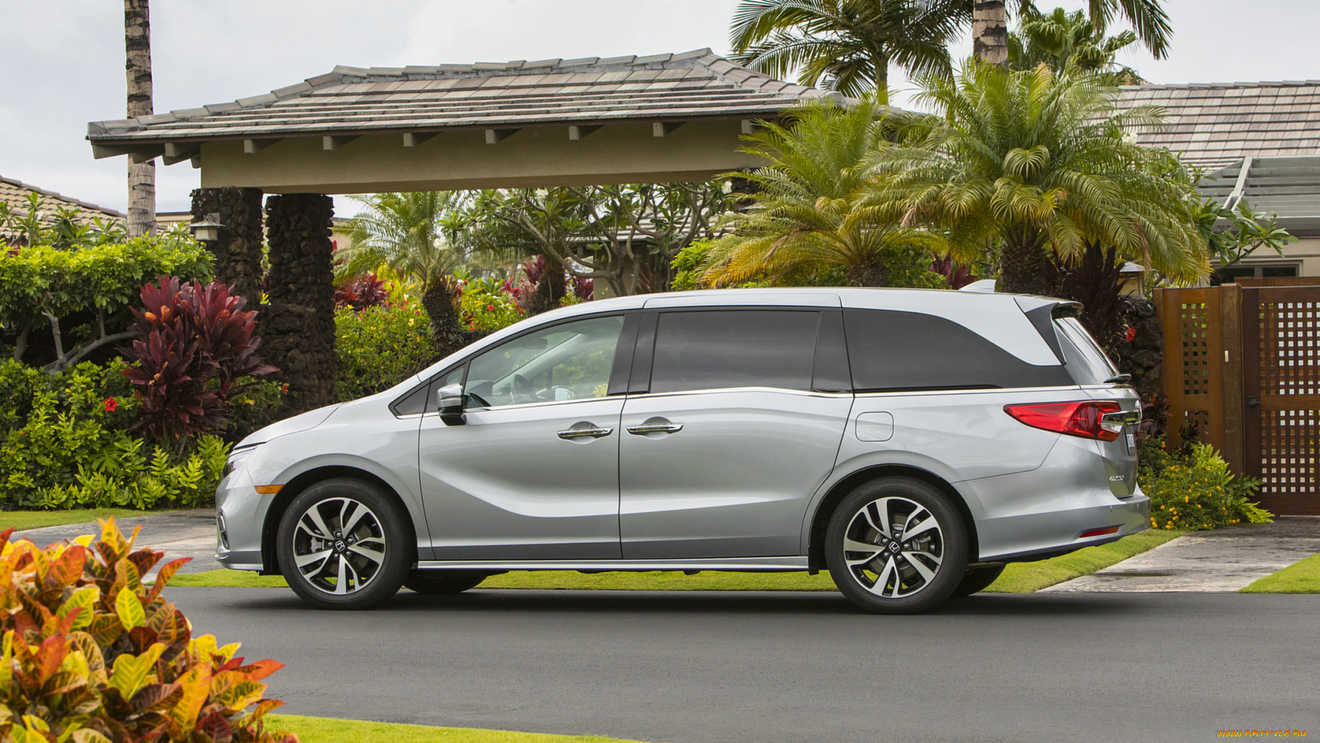 honda, odyssey, elite, 2018, автомобили, honda, elite, odyssey, 2018