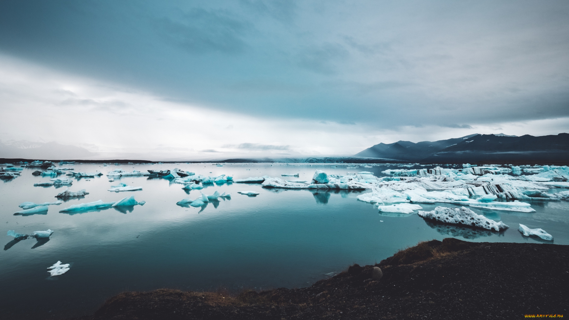 природа, айсберги, и, ледники, лед