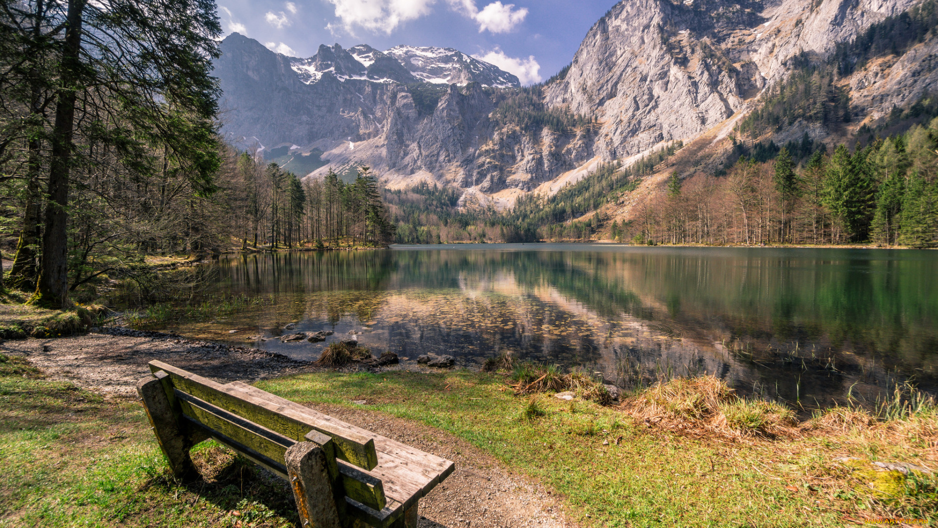 природа, реки, озера, река, лес