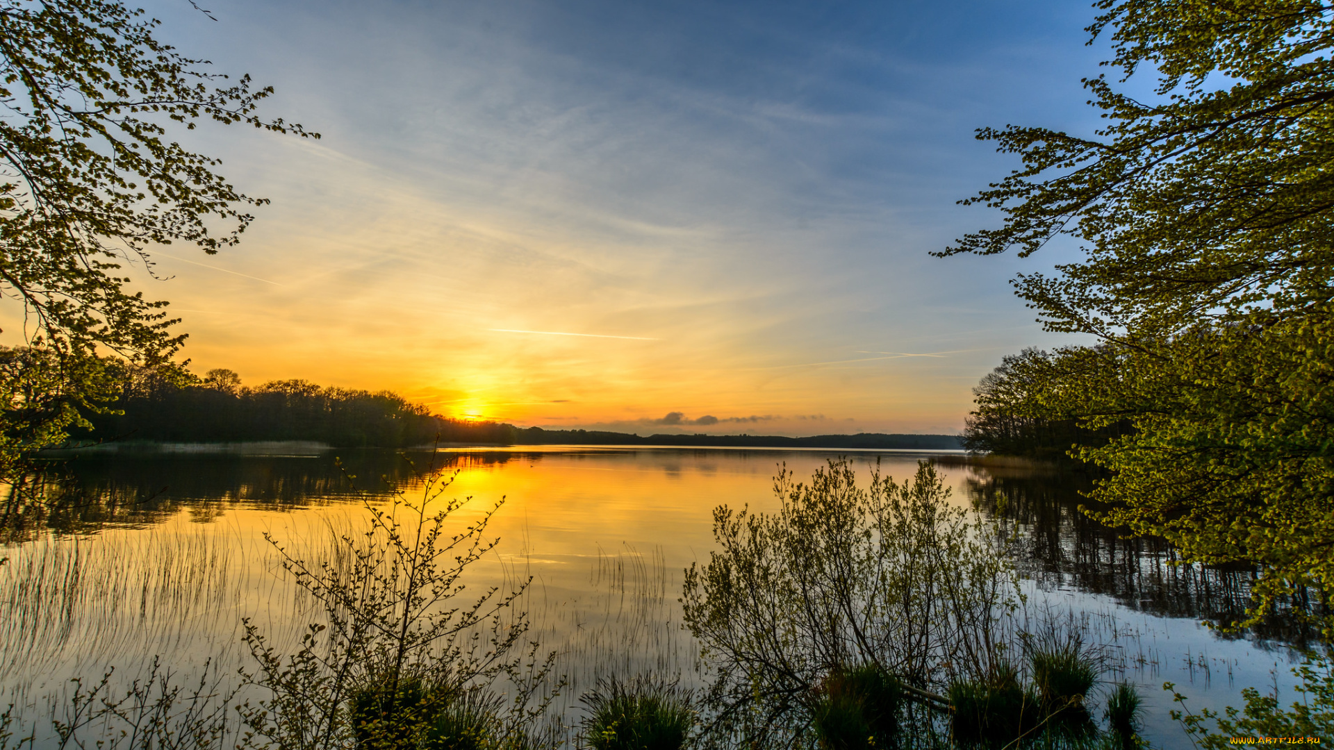 природа, реки, озера, река, лес