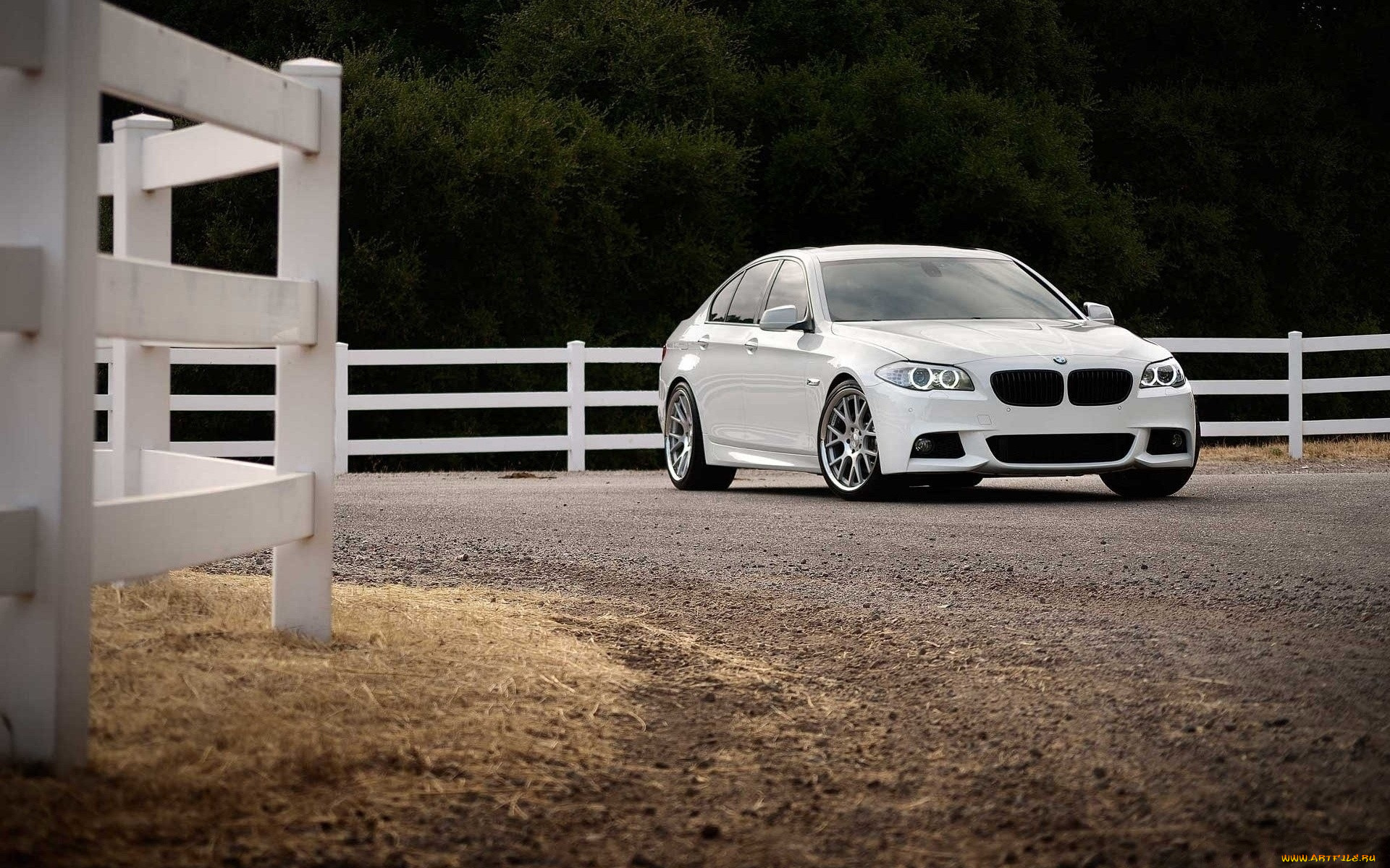 автомобили, bmw, бмв, белый, дорога, изгородь