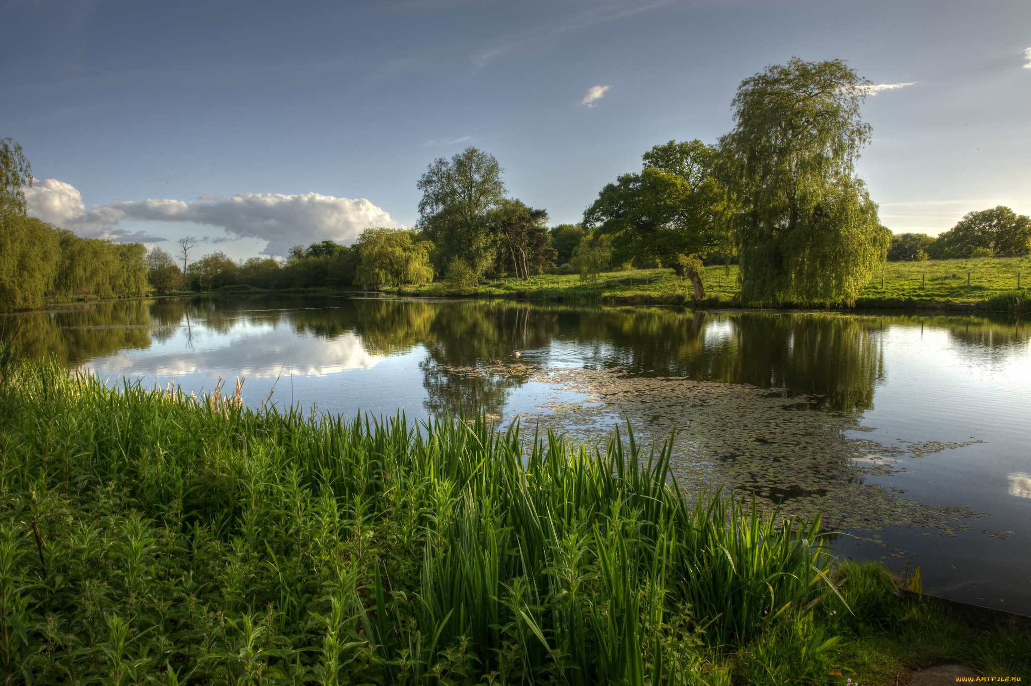 природа, реки, озера, река, лес