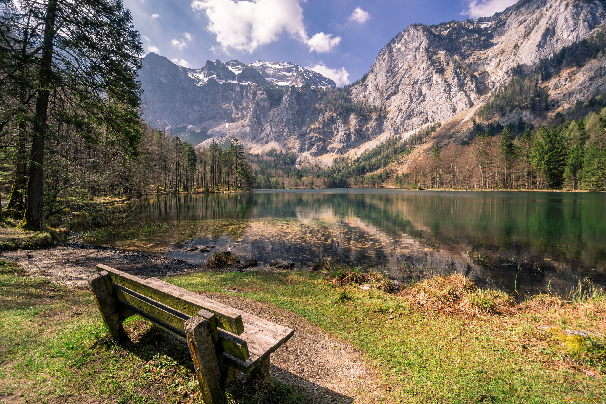 природа, реки, озера, река, лес