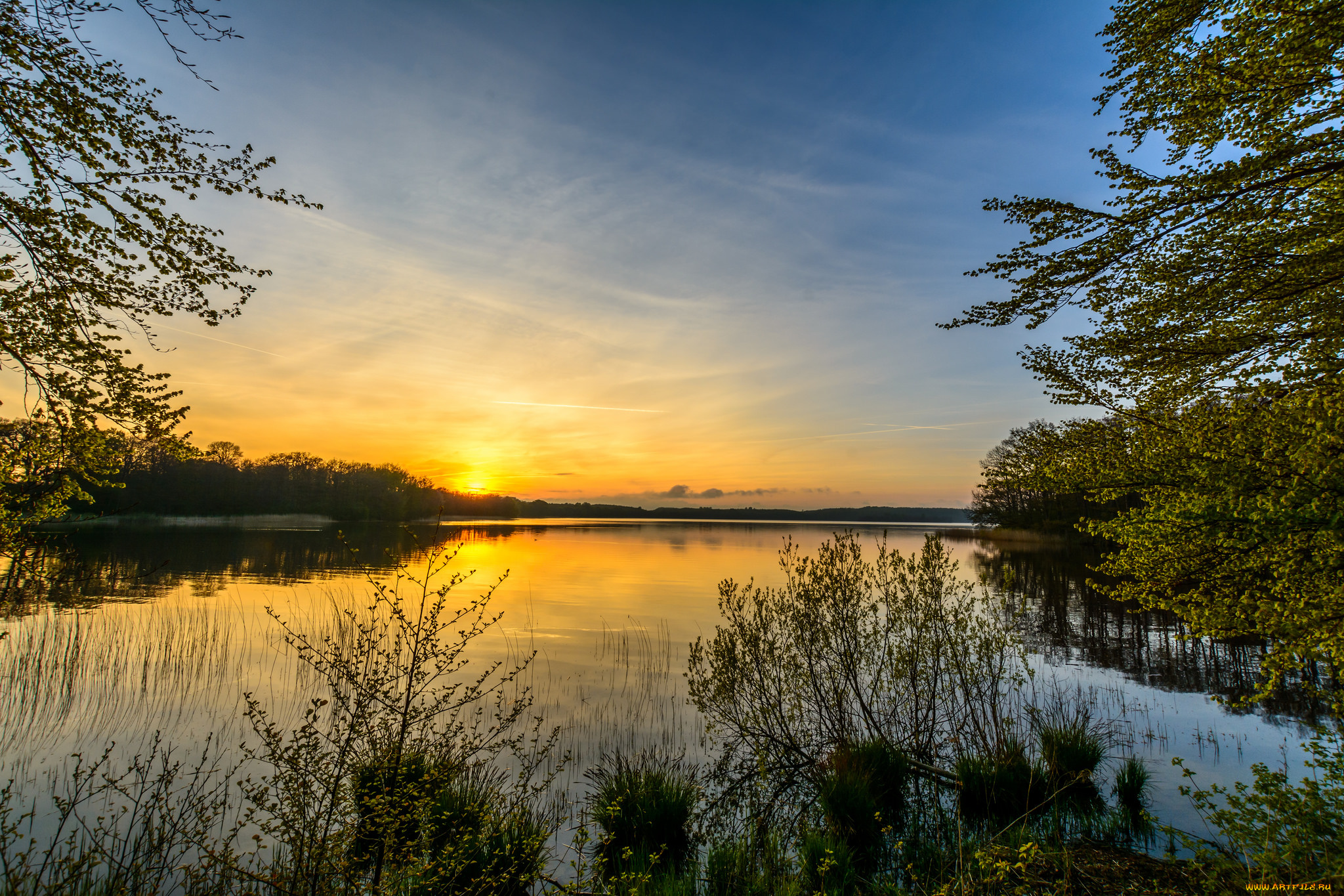 природа, реки, озера, река, лес