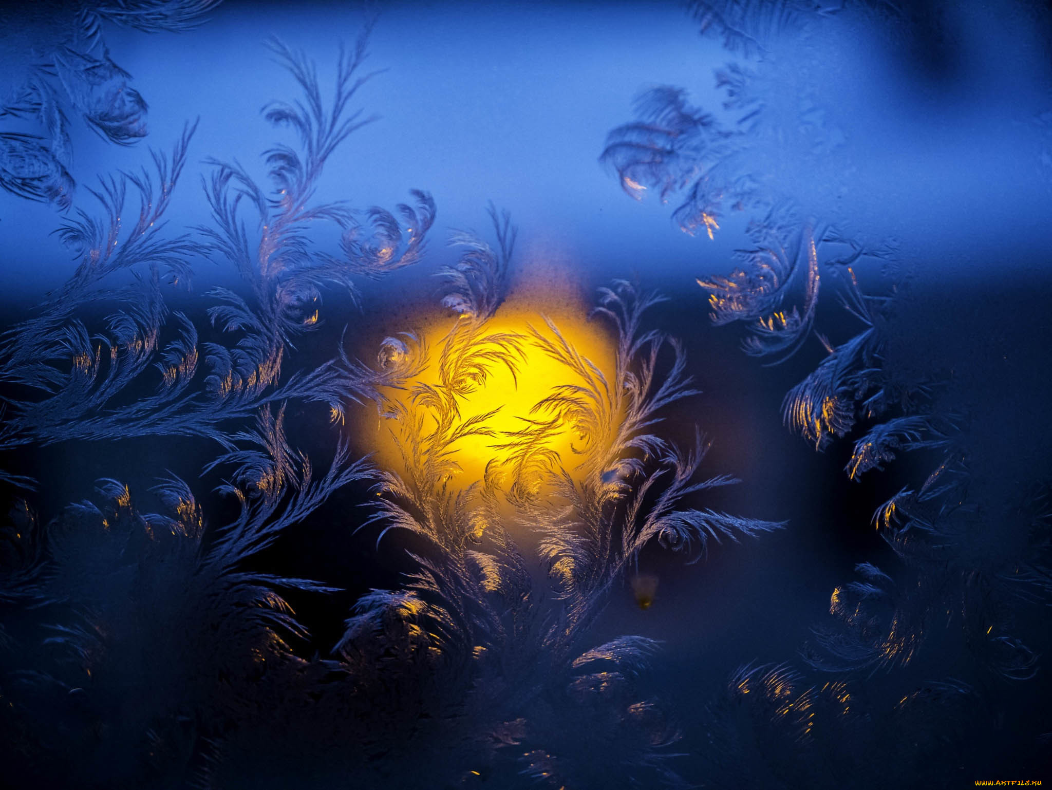 природа, макро, узоры, свет, стекло, мороз, изморозь