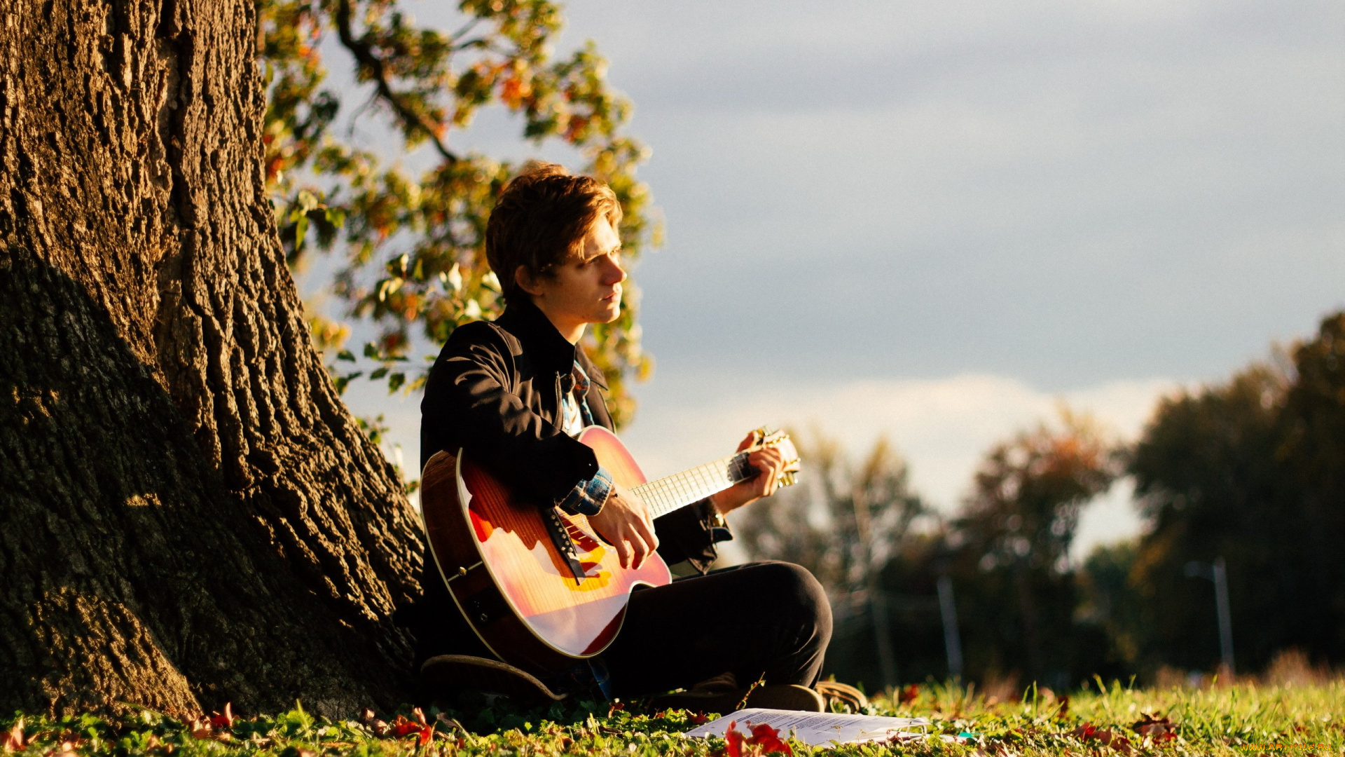 музыка, -другое, дерево, гитара, парень