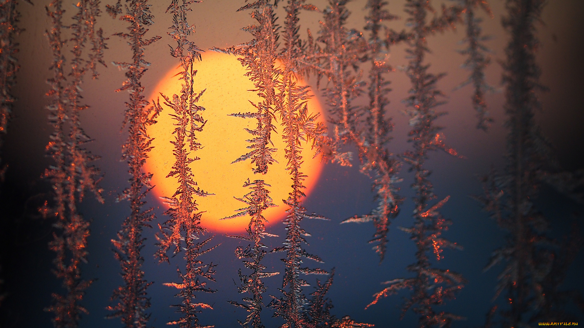 природа, зима, простор