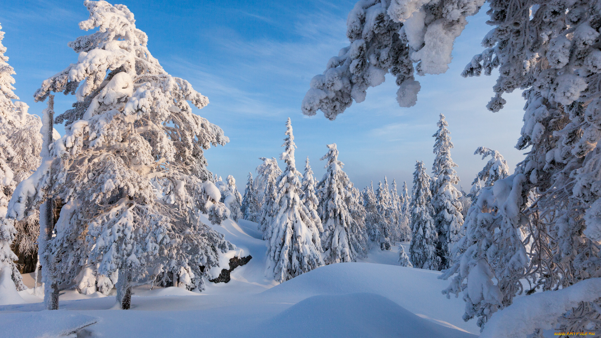 природа, зима, простор