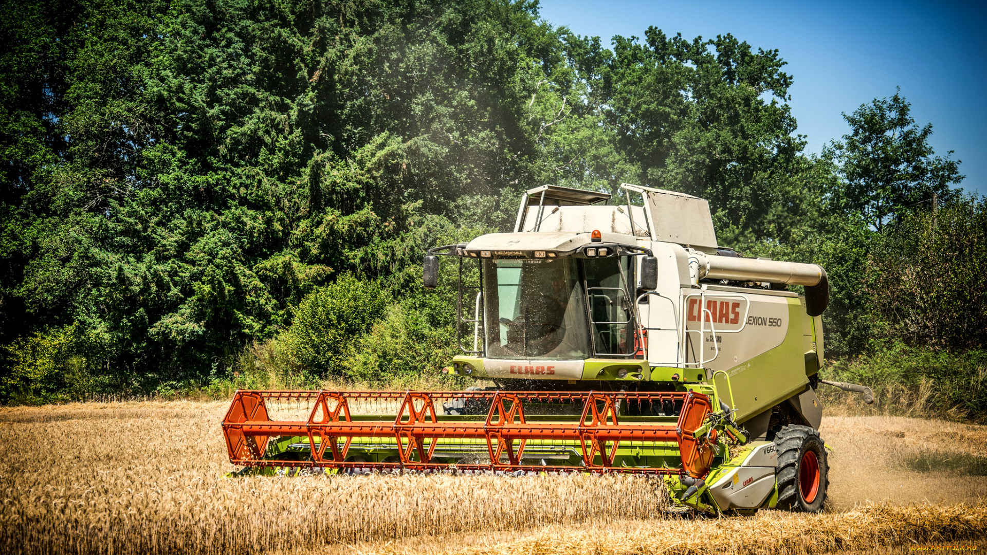 техника, комбайны, поле, комбайн