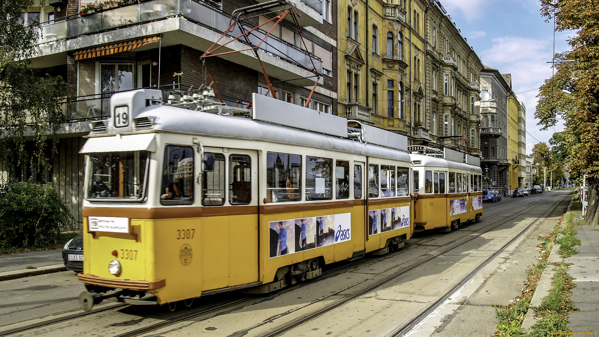 техника, трамваи, рельсы, мостовая