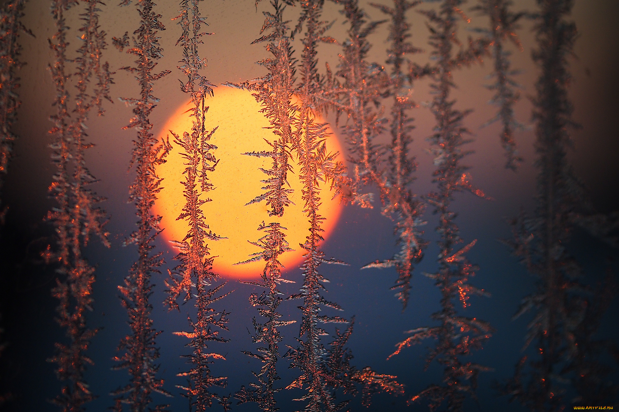 природа, зима, простор