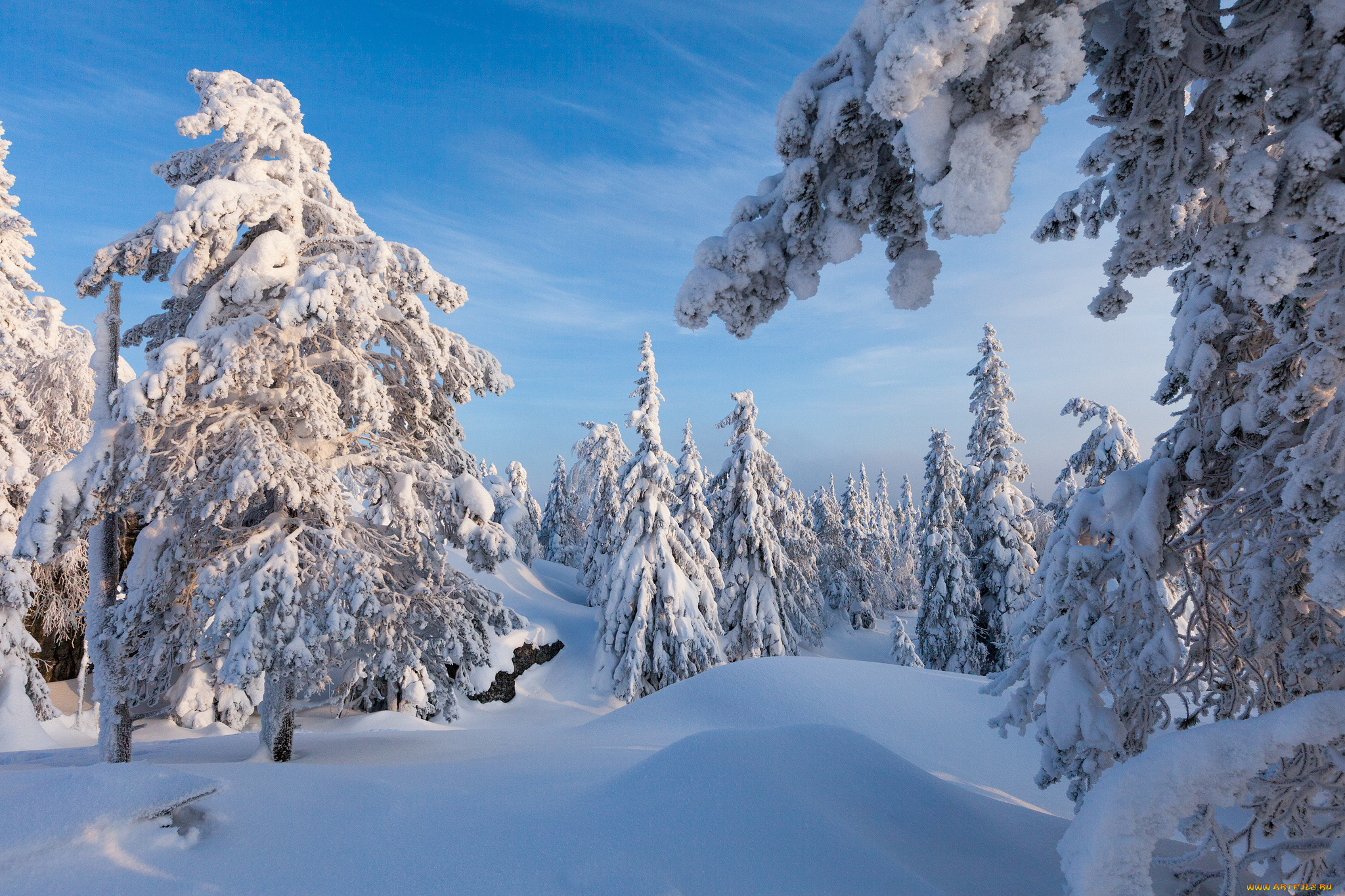 природа, зима, простор