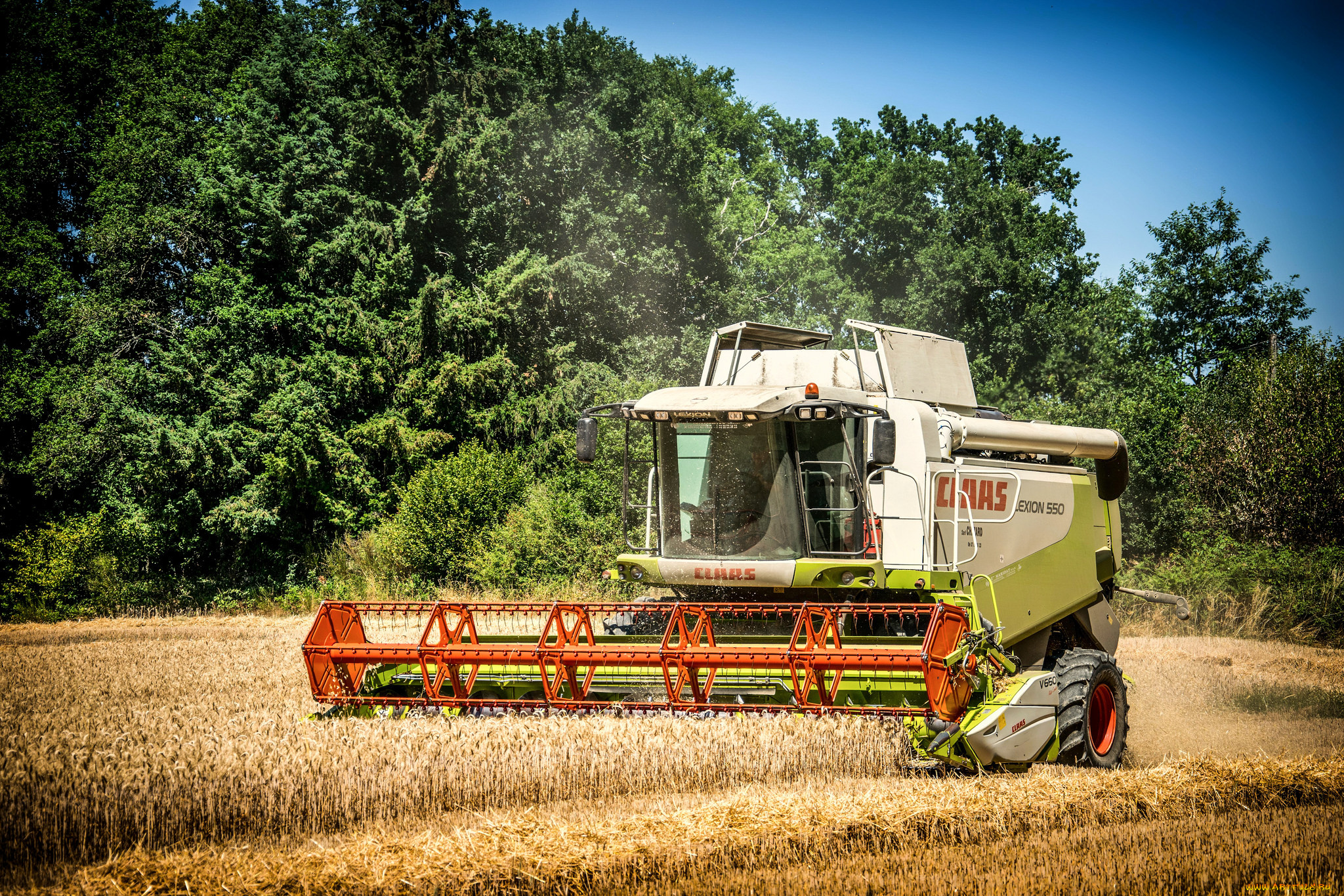 техника, комбайны, поле, комбайн
