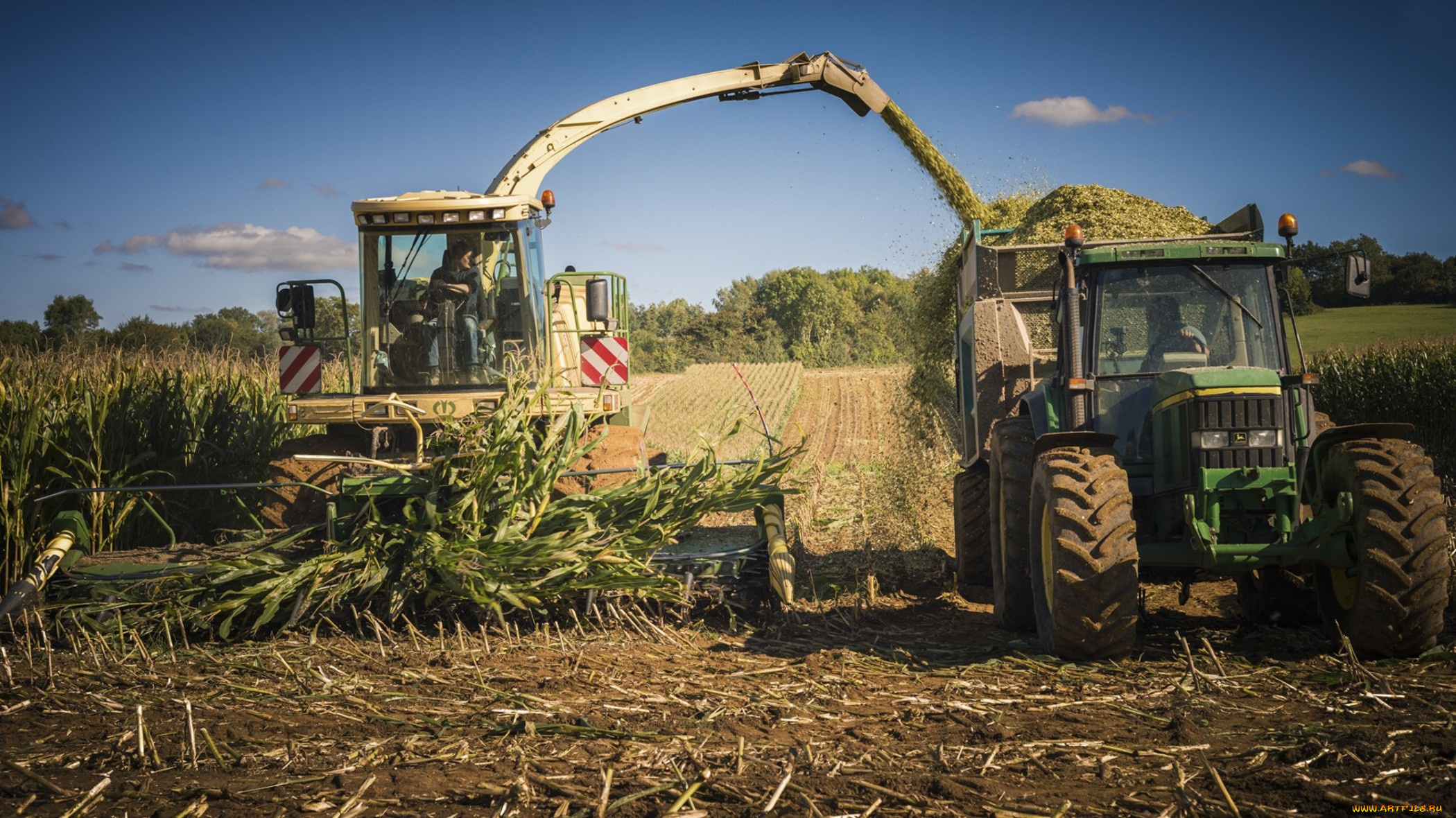 техника, комбайны, поле, комбайн