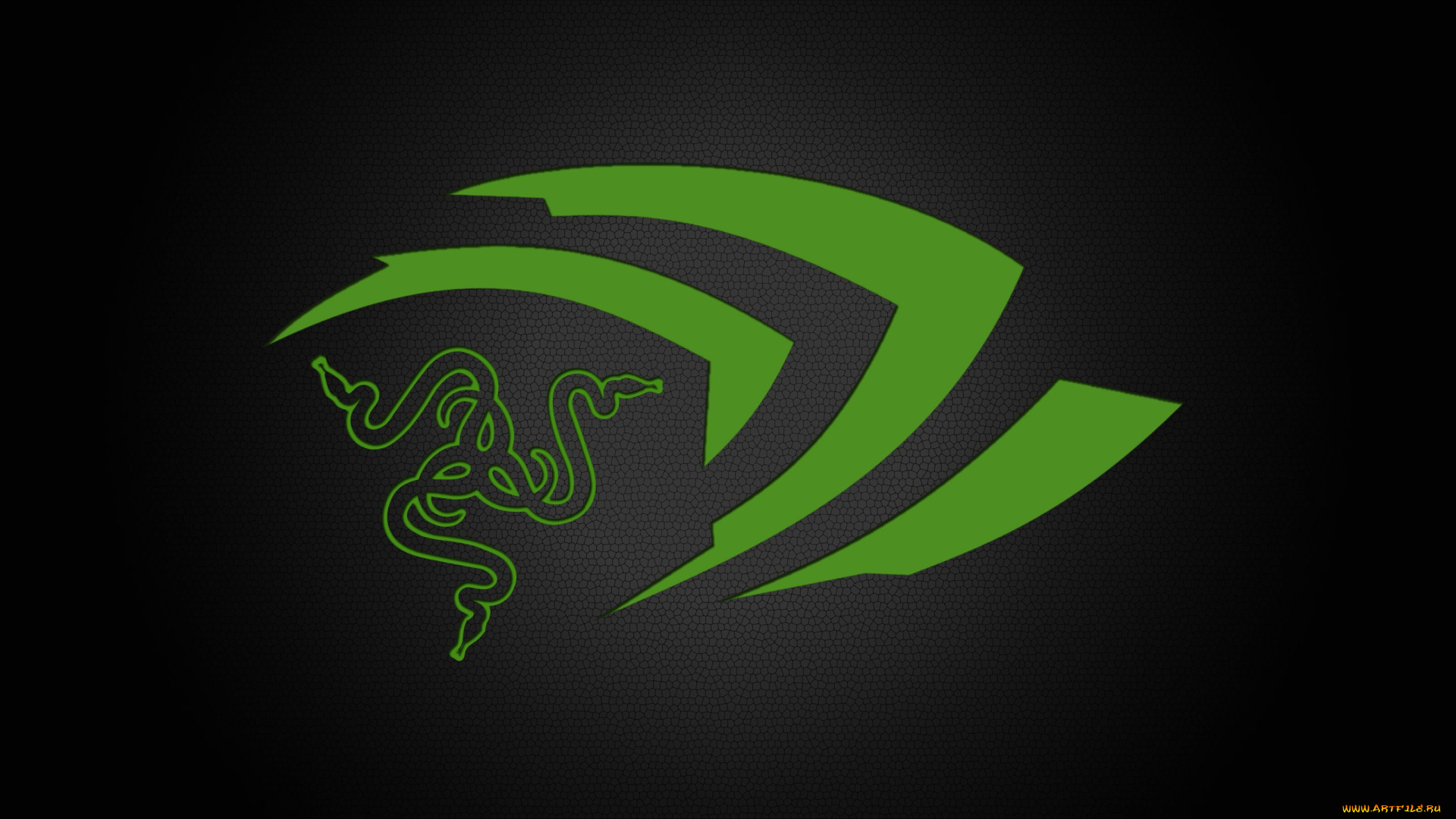 компьютеры, razer