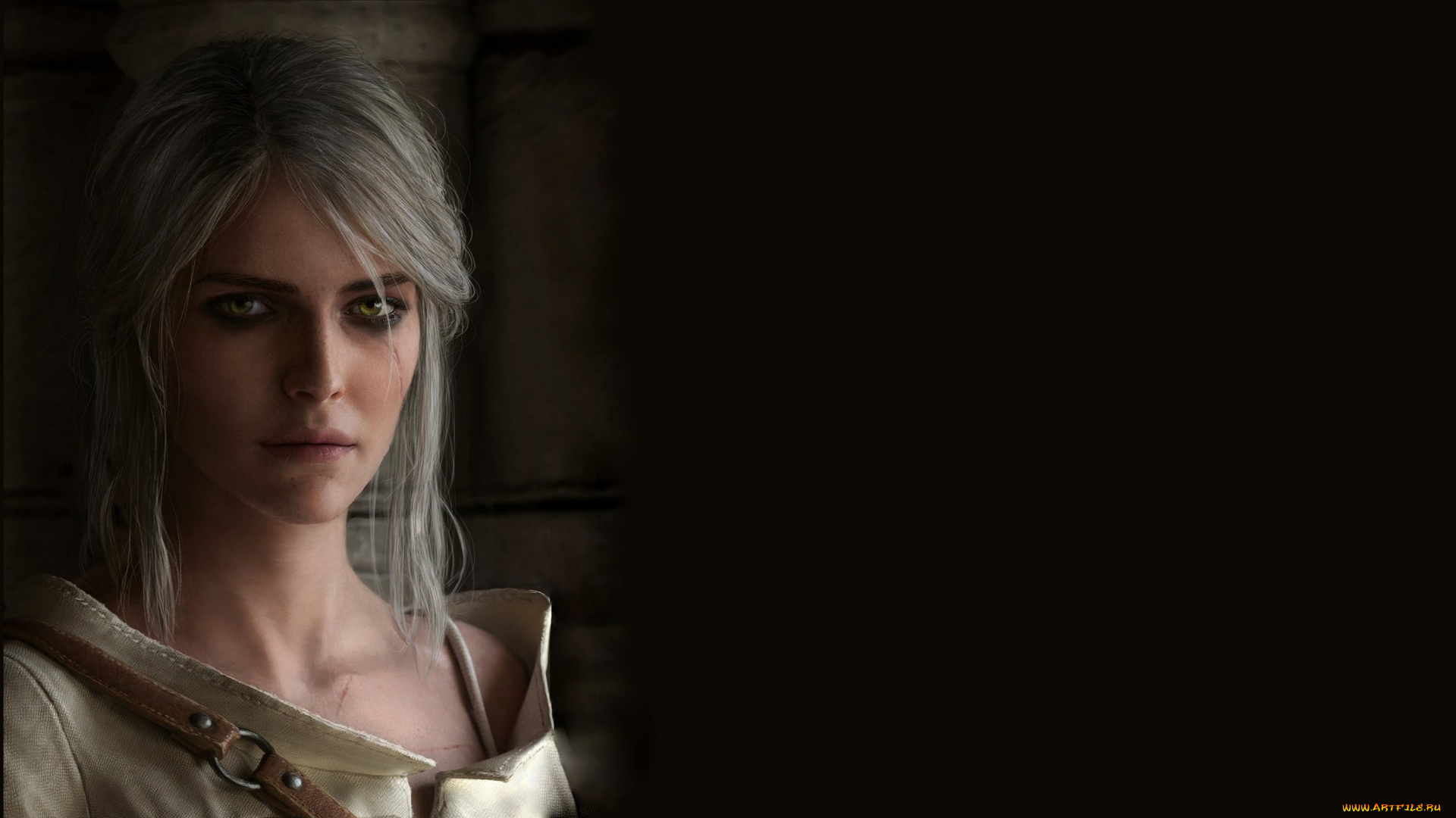 видео, игры, the, witcher, 3, , wild, hunt, the, witcher, 3, wild, hunt