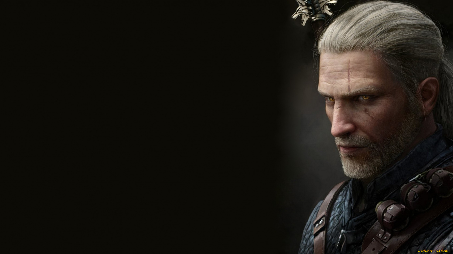 видео, игры, the, witcher, 3, , wild, hunt, the, witcher, 3, wild, hunt