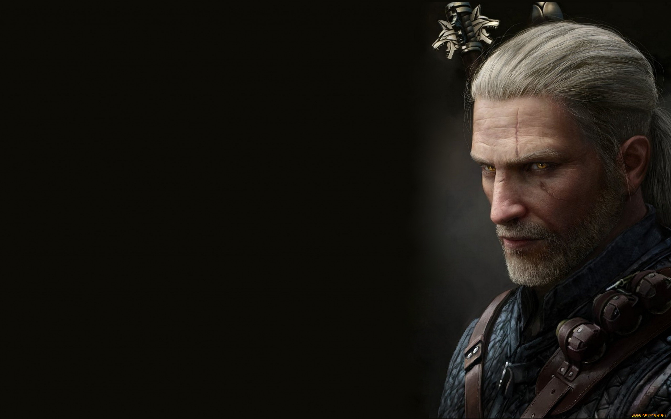 видео, игры, the, witcher, 3, , wild, hunt, the, witcher, 3, wild, hunt