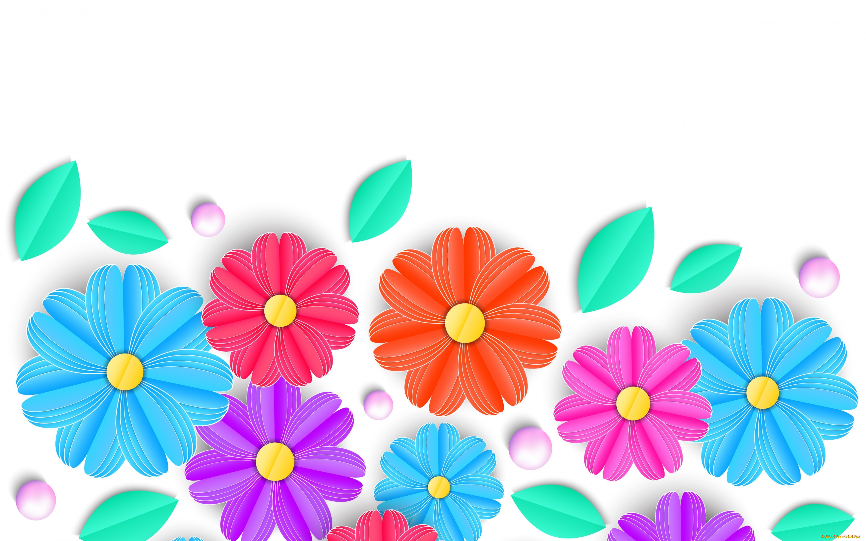 векторная, графика, цветы, , flowers, фон, цветы