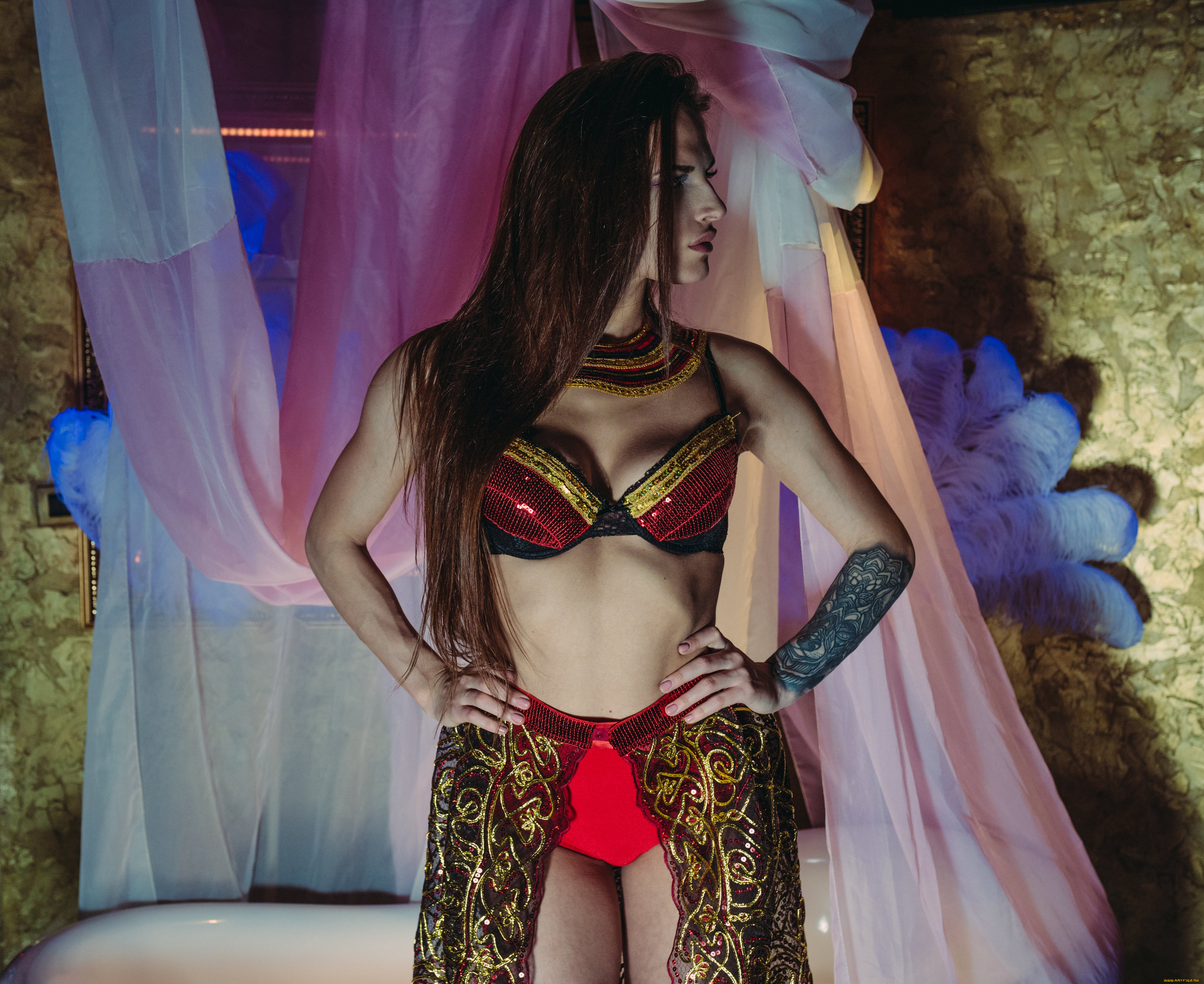 девушки, -, брюнетки, , шатенки, golden, girls, ночной, клуб, модель