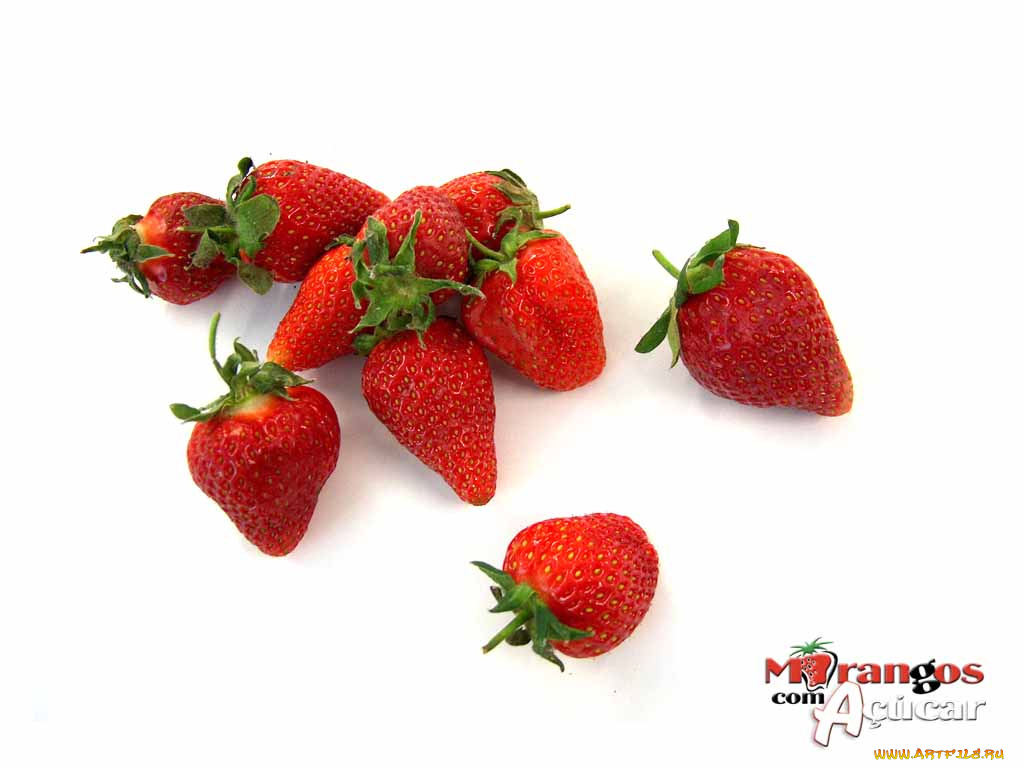 бренды, другое