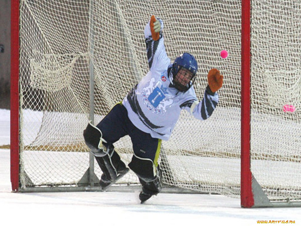 спорт, другое