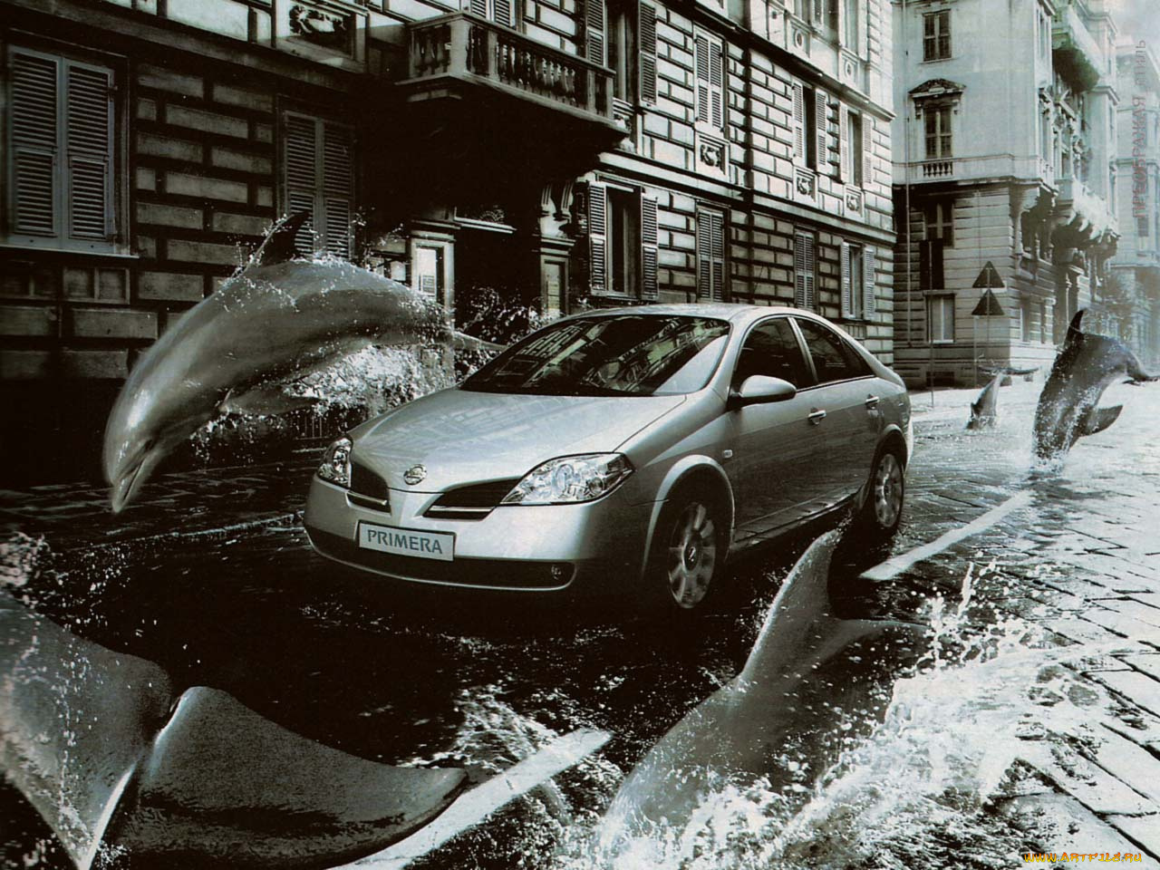 nissan, primera, автомобили, datsun